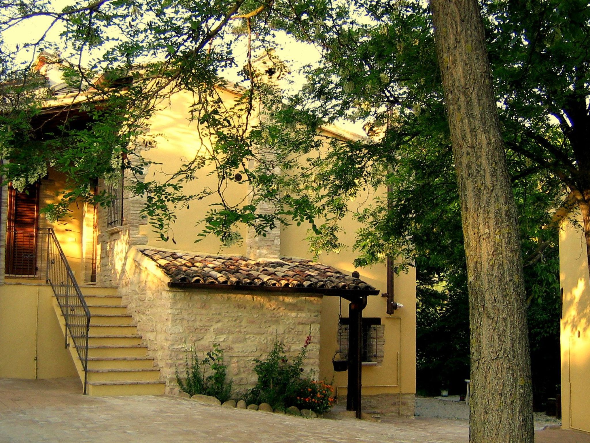 Girasoli in Cagli-Binnen