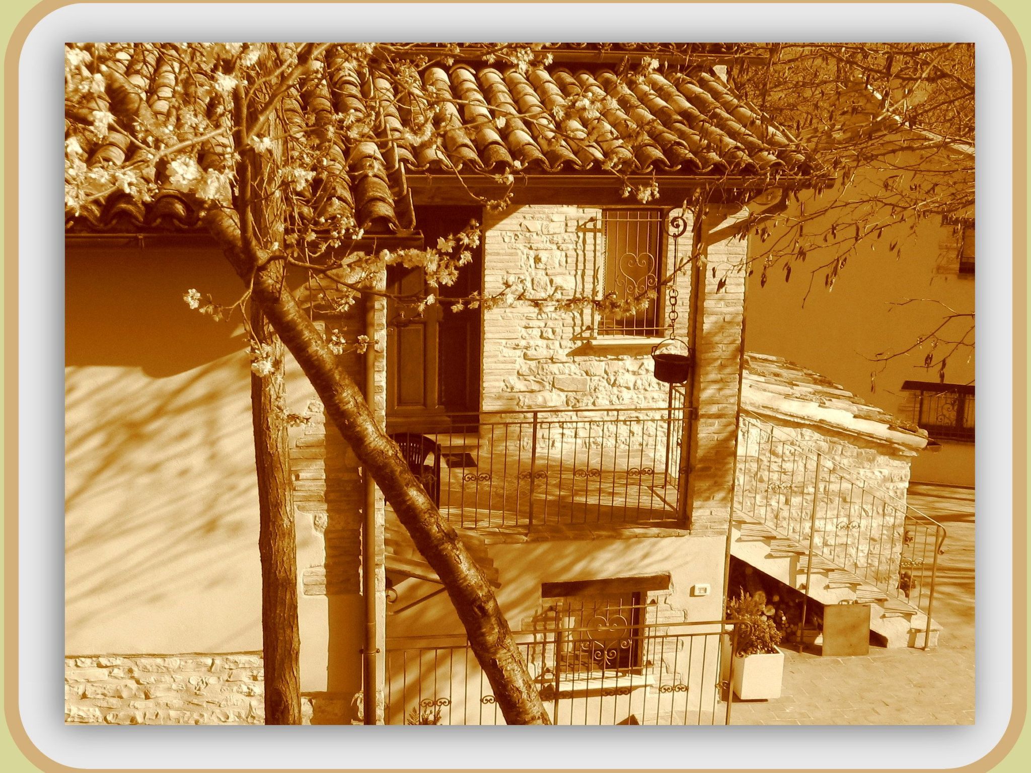 Girasoli in Cagli-Binnen