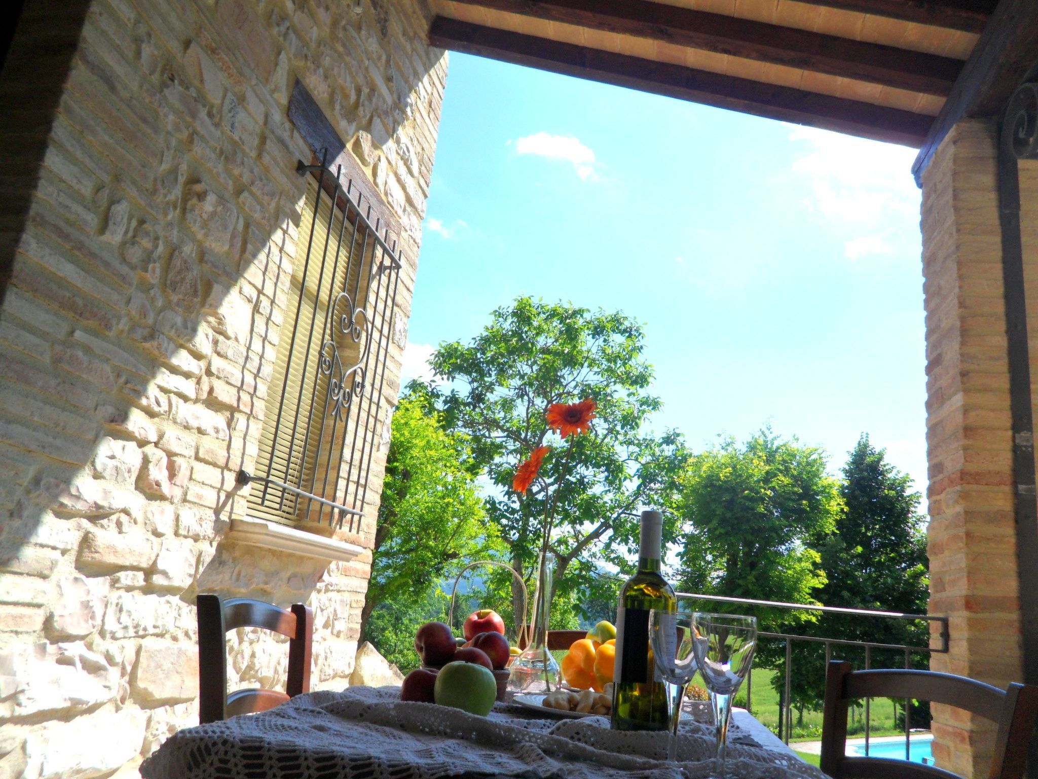 Girasoli in Cagli-Binnen