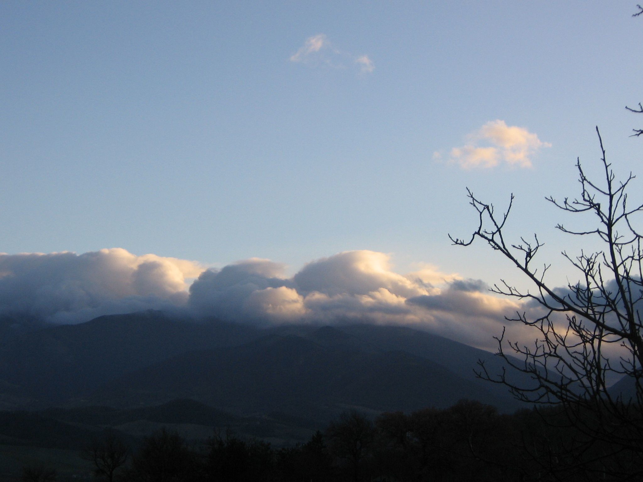 Girasoli in Cagli-Binnen