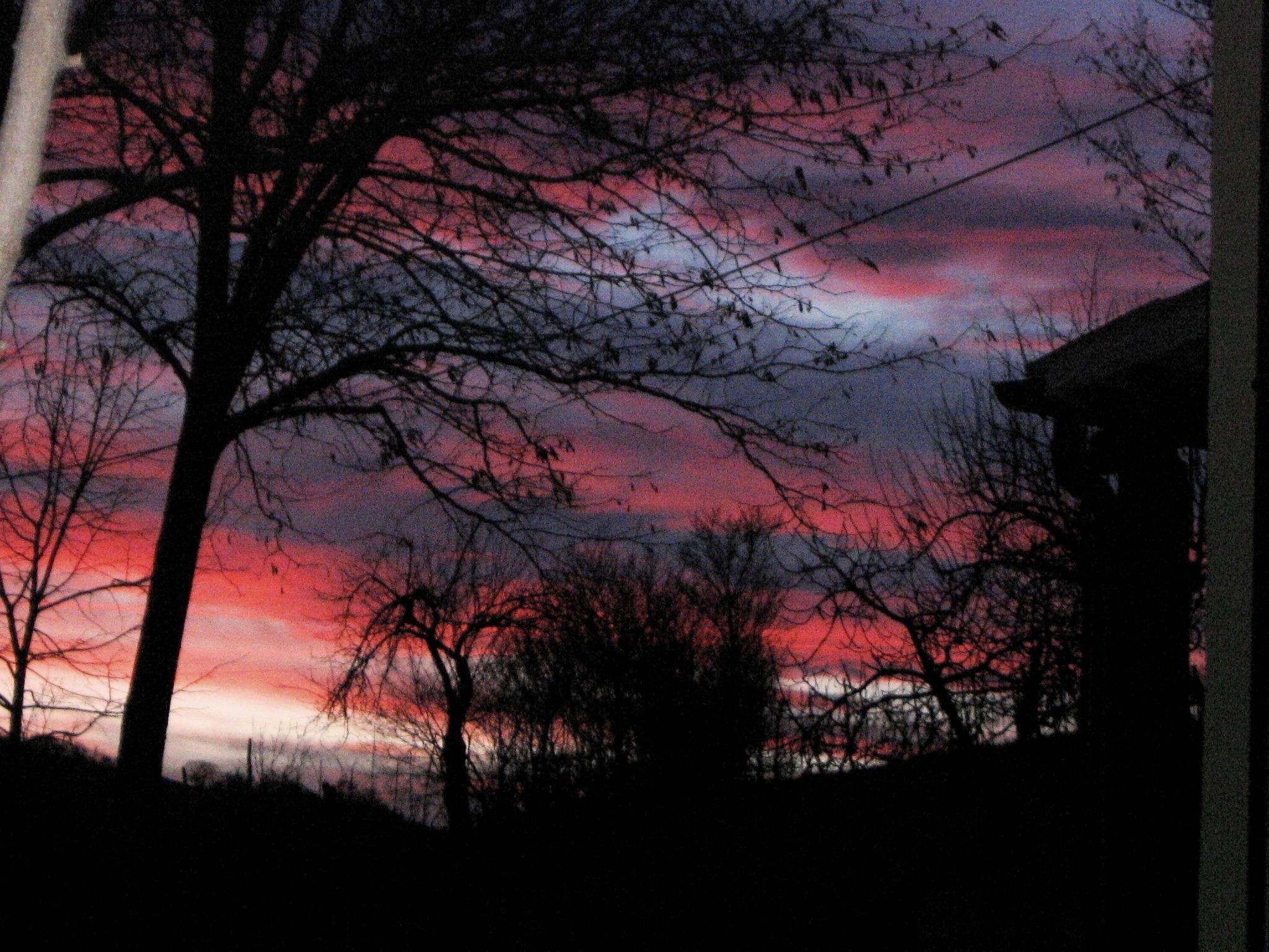 Girasoli in Cagli-Binnen