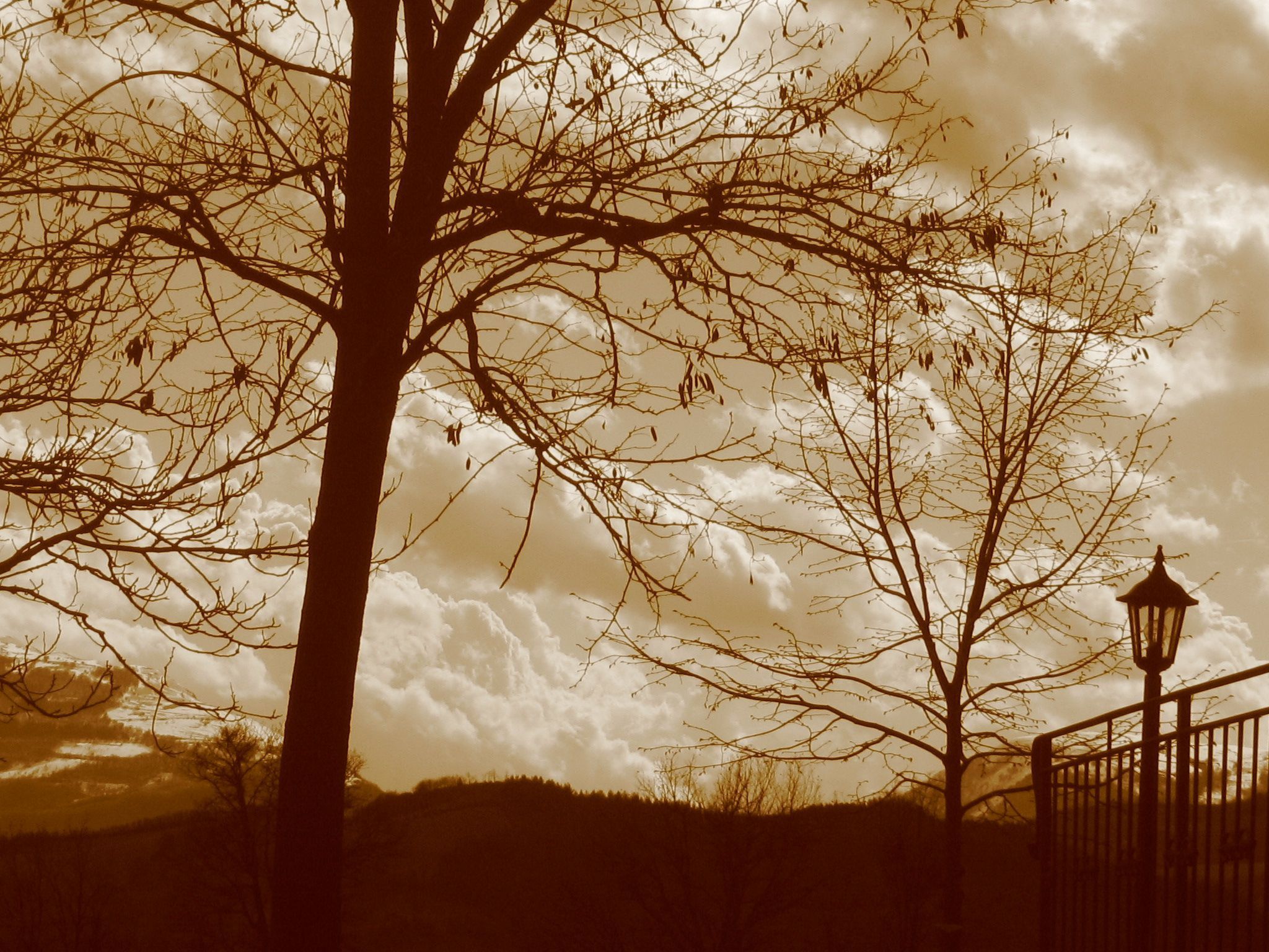 Girasoli in Cagli-Binnen