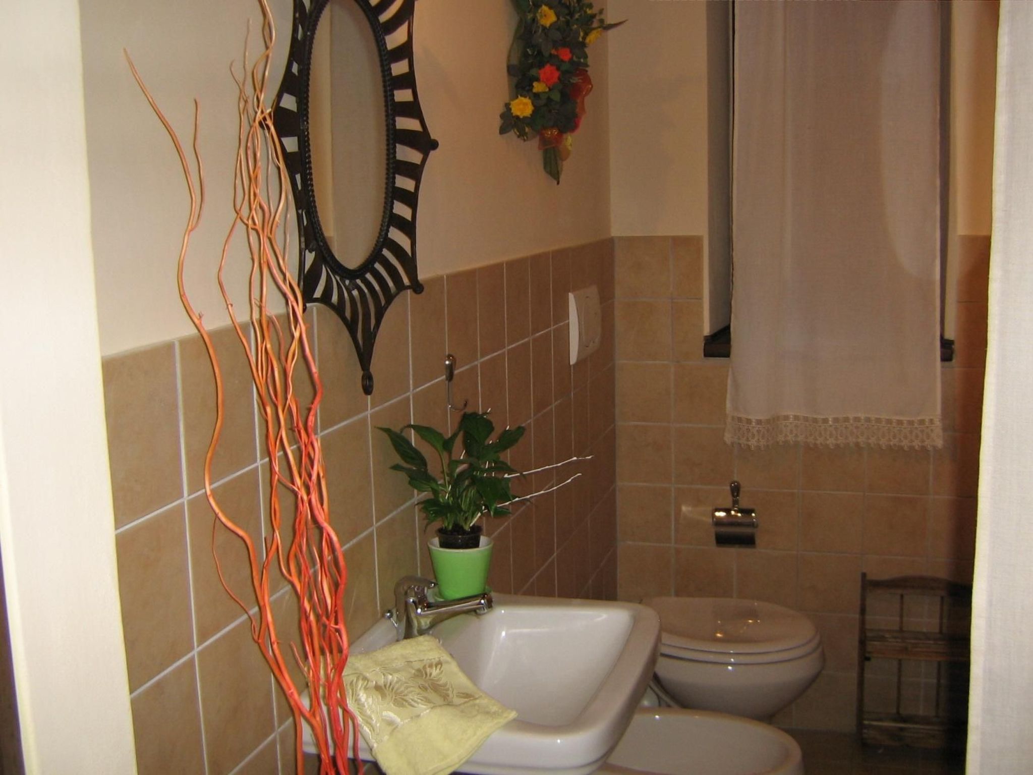 Rose in Cagli-Binnen