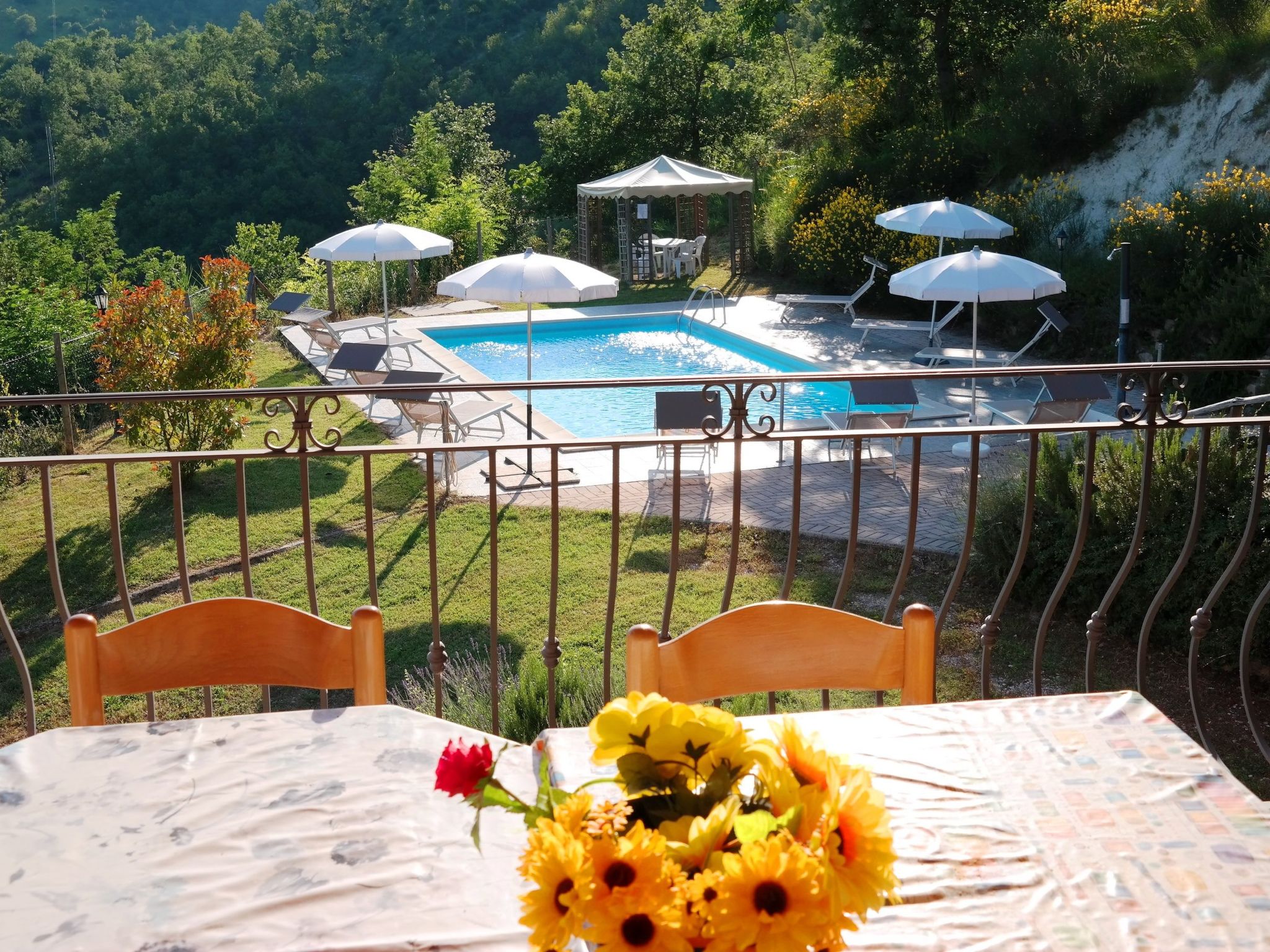 La Panoramica-Image-tags.info