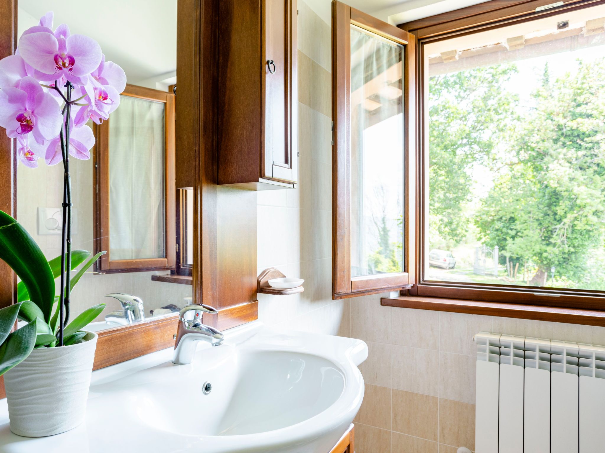 La Panoramica-Binnen