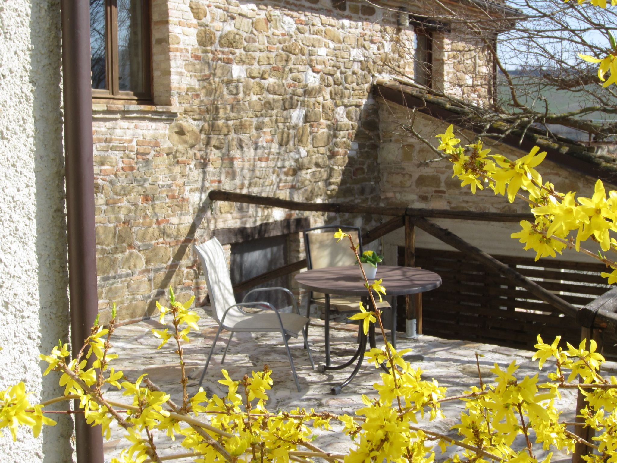 App. Nidastore-Image-tags.info