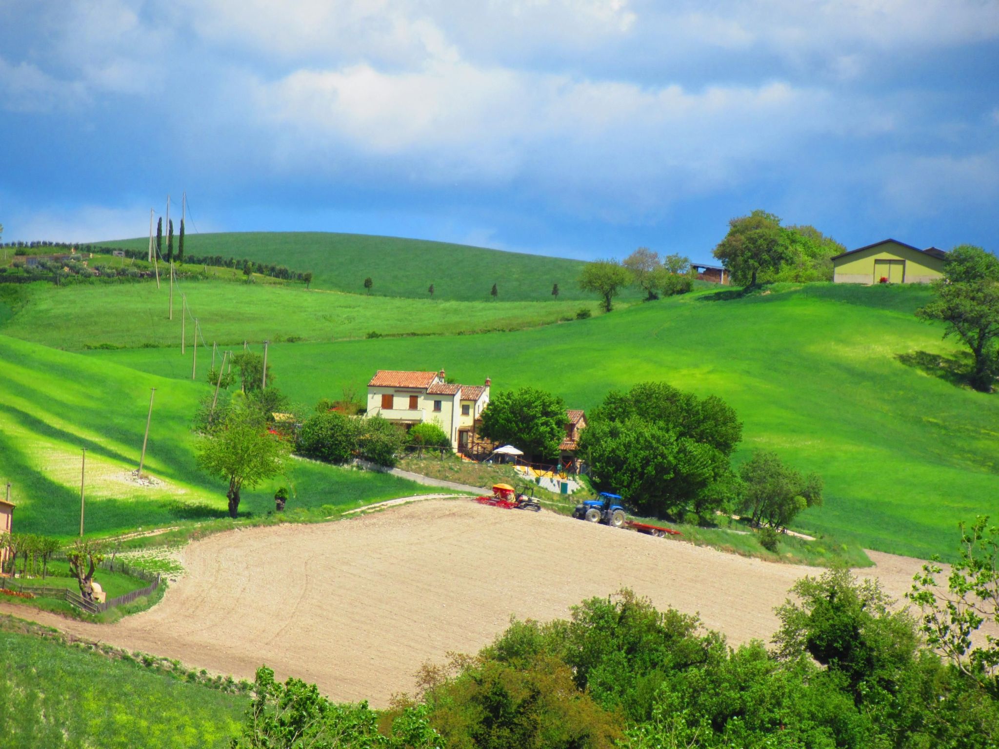 App. Nidastore-Image-tags.info