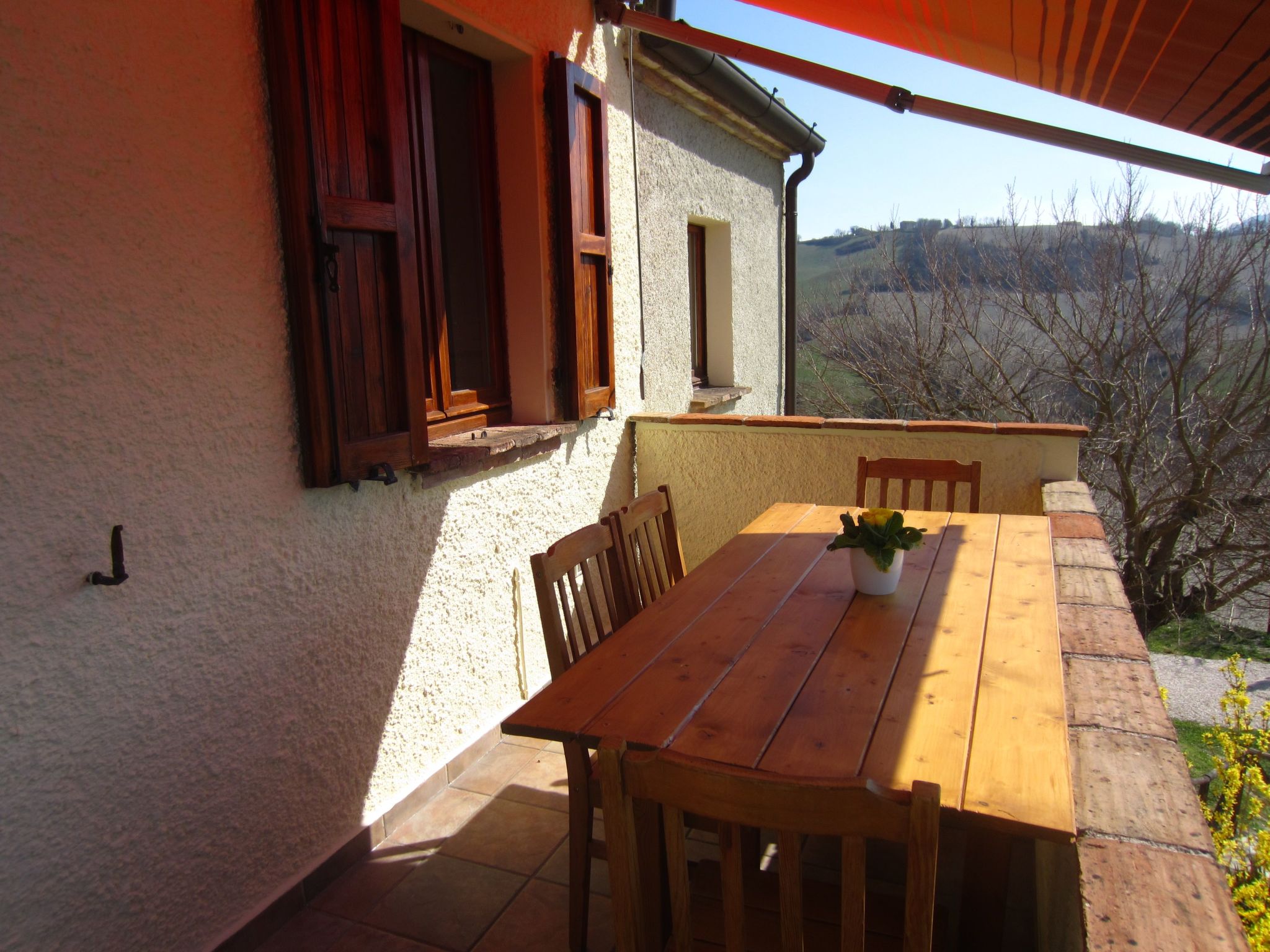 App. Palazzo-Image-tags.info