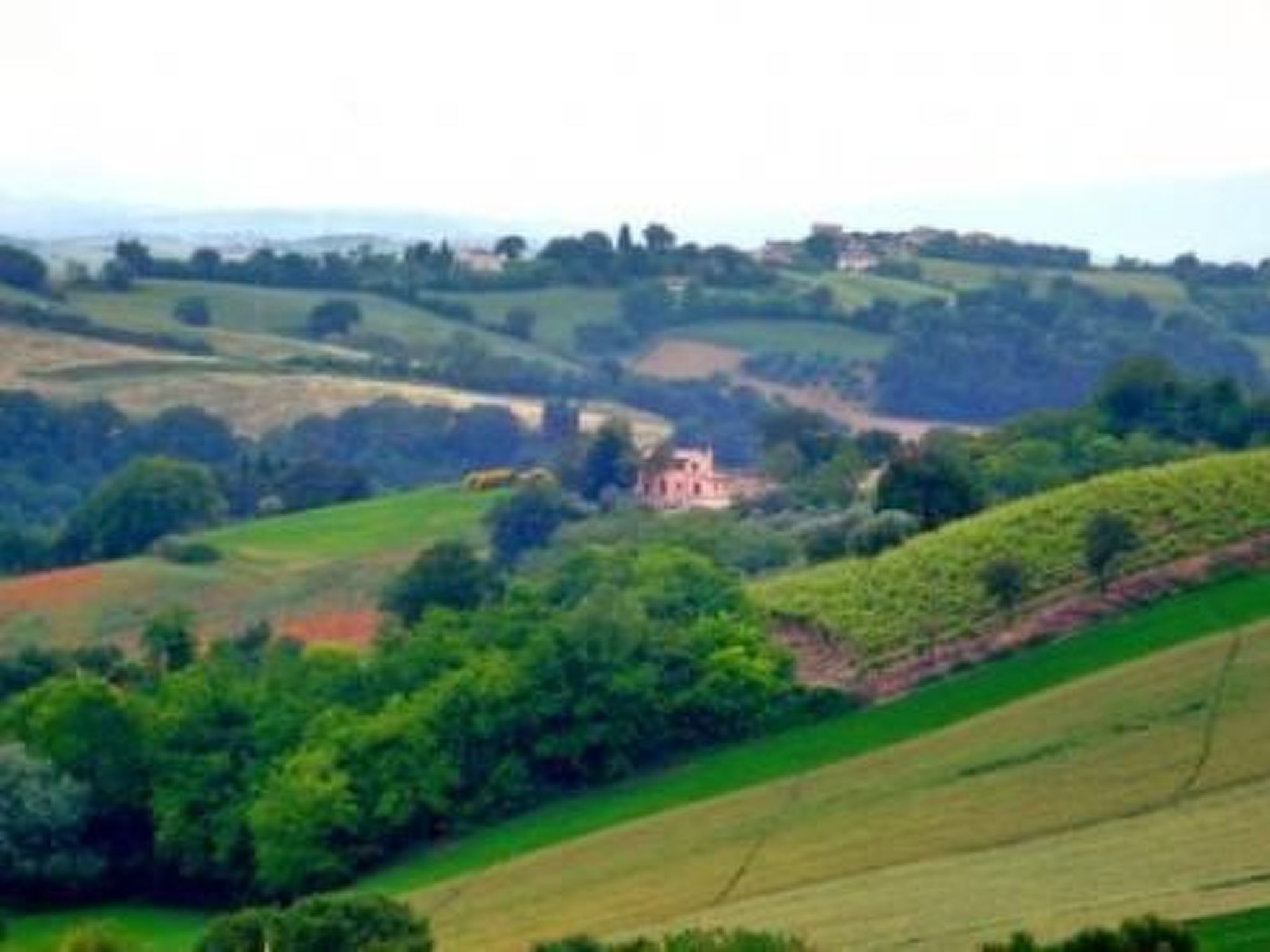 'Villa Mauro-Image-tags.info