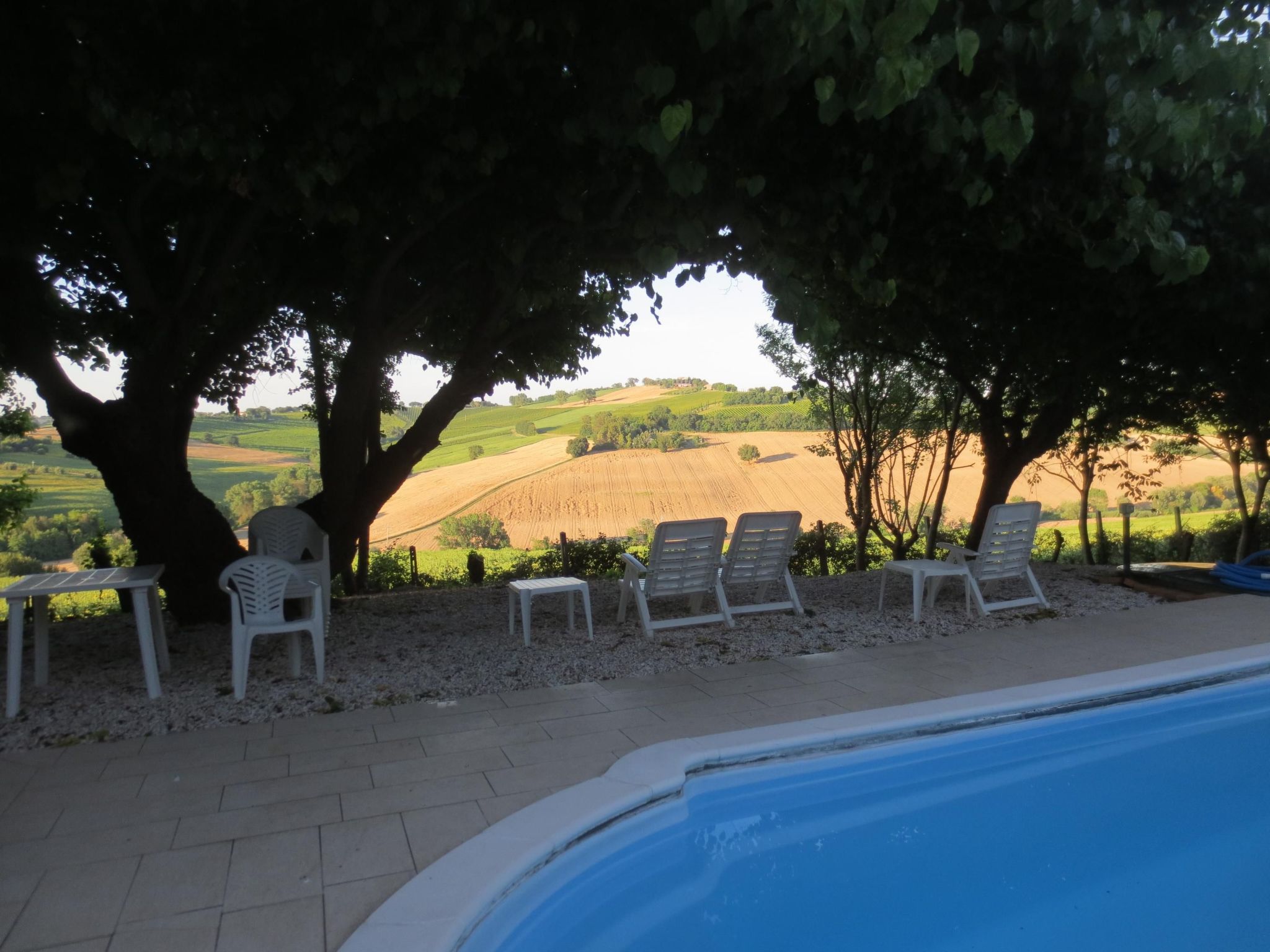 "Solebello Mulberry-Image-tags.info