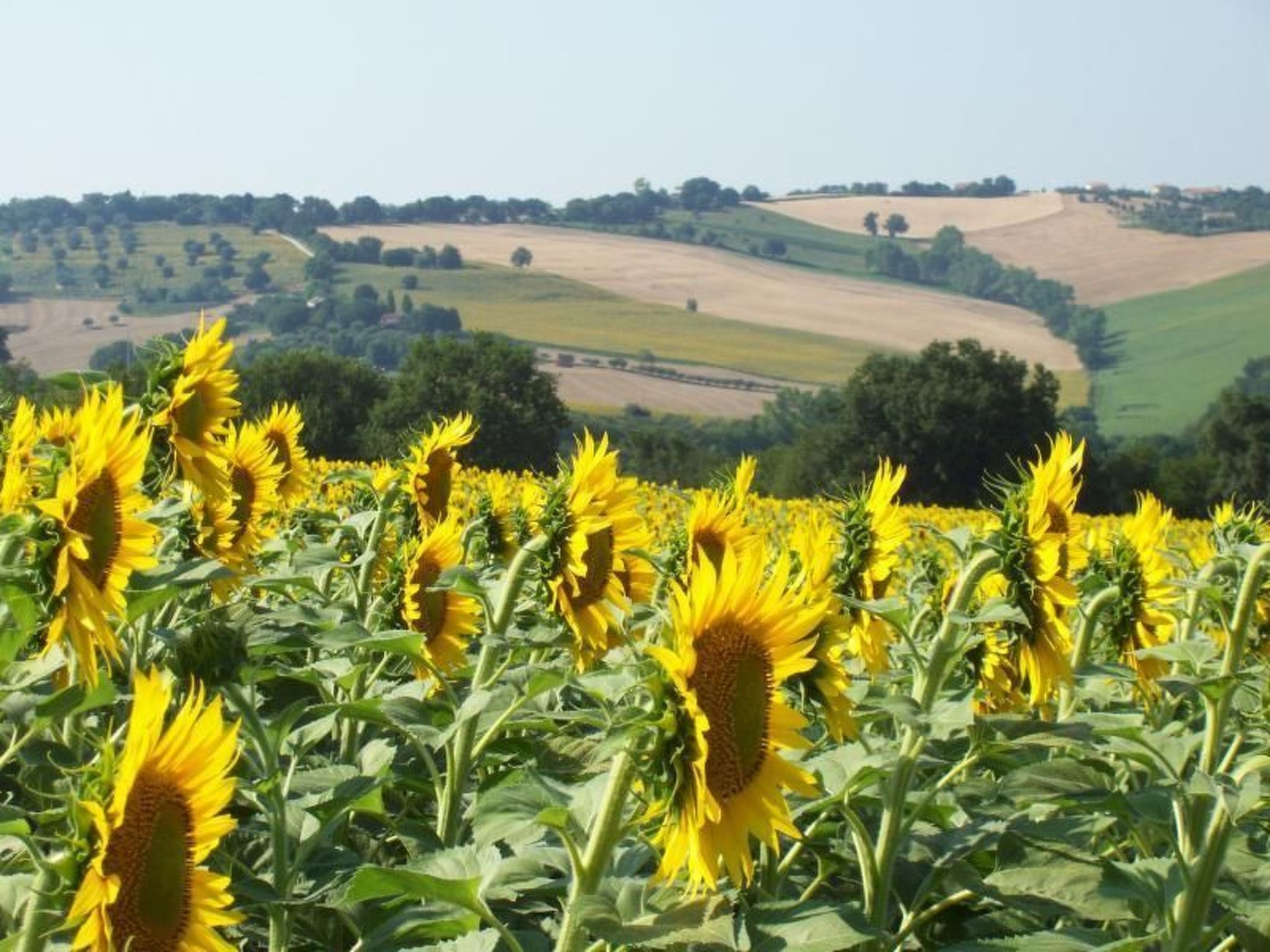 Wohnung im ersten Stock für sechs Personen-Image-tags.info