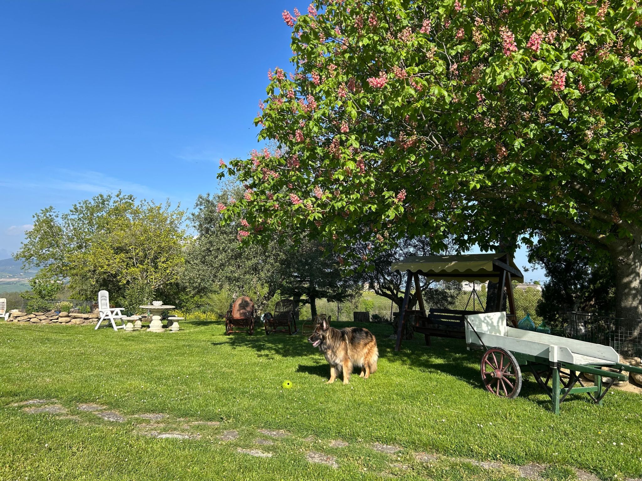 Bauernhaus Santa Maria del Monte-Binnen