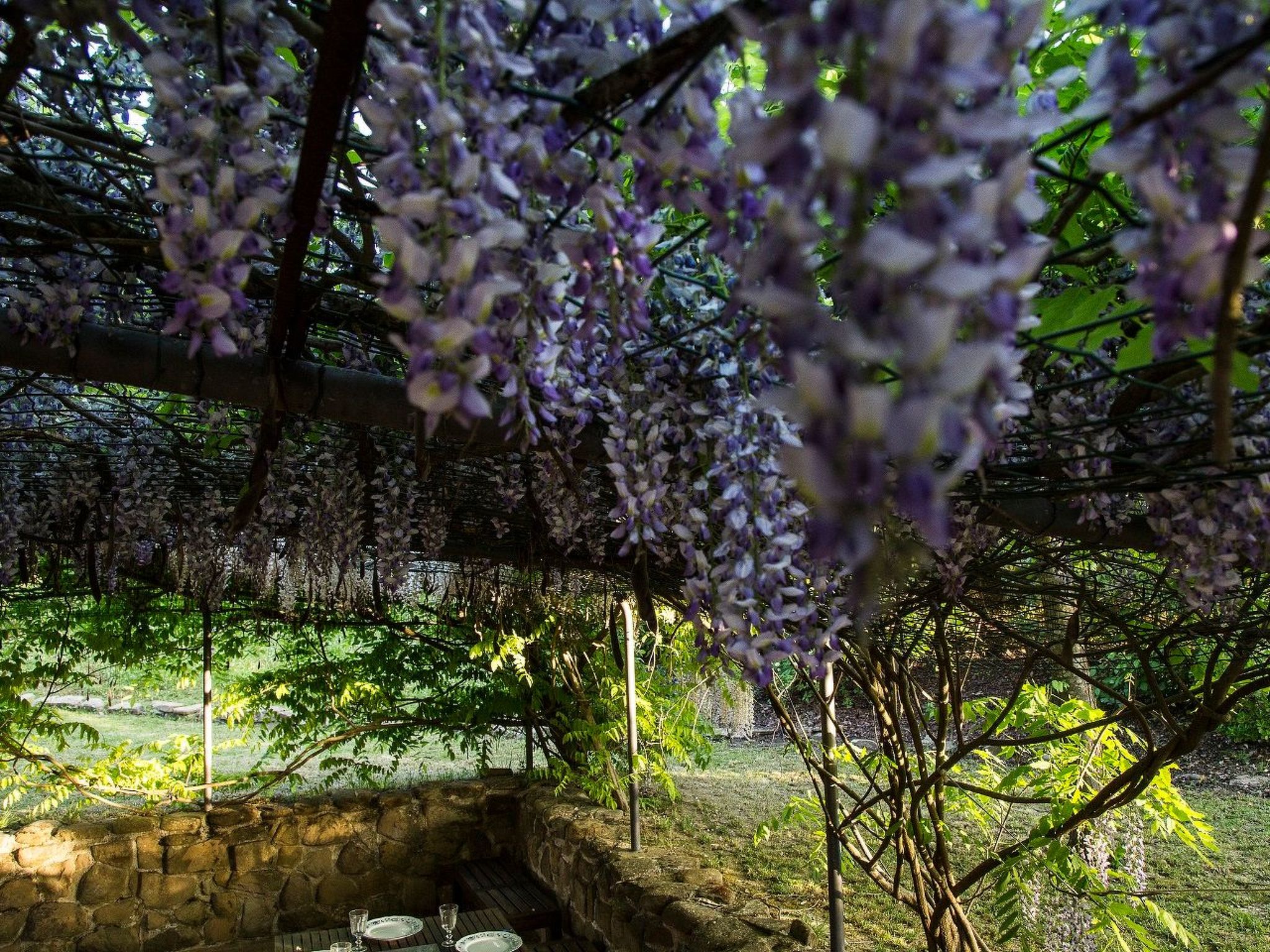 "Haustierfreundliches 'Cottage Glicini' mit Pool und Aussicht-Binnen