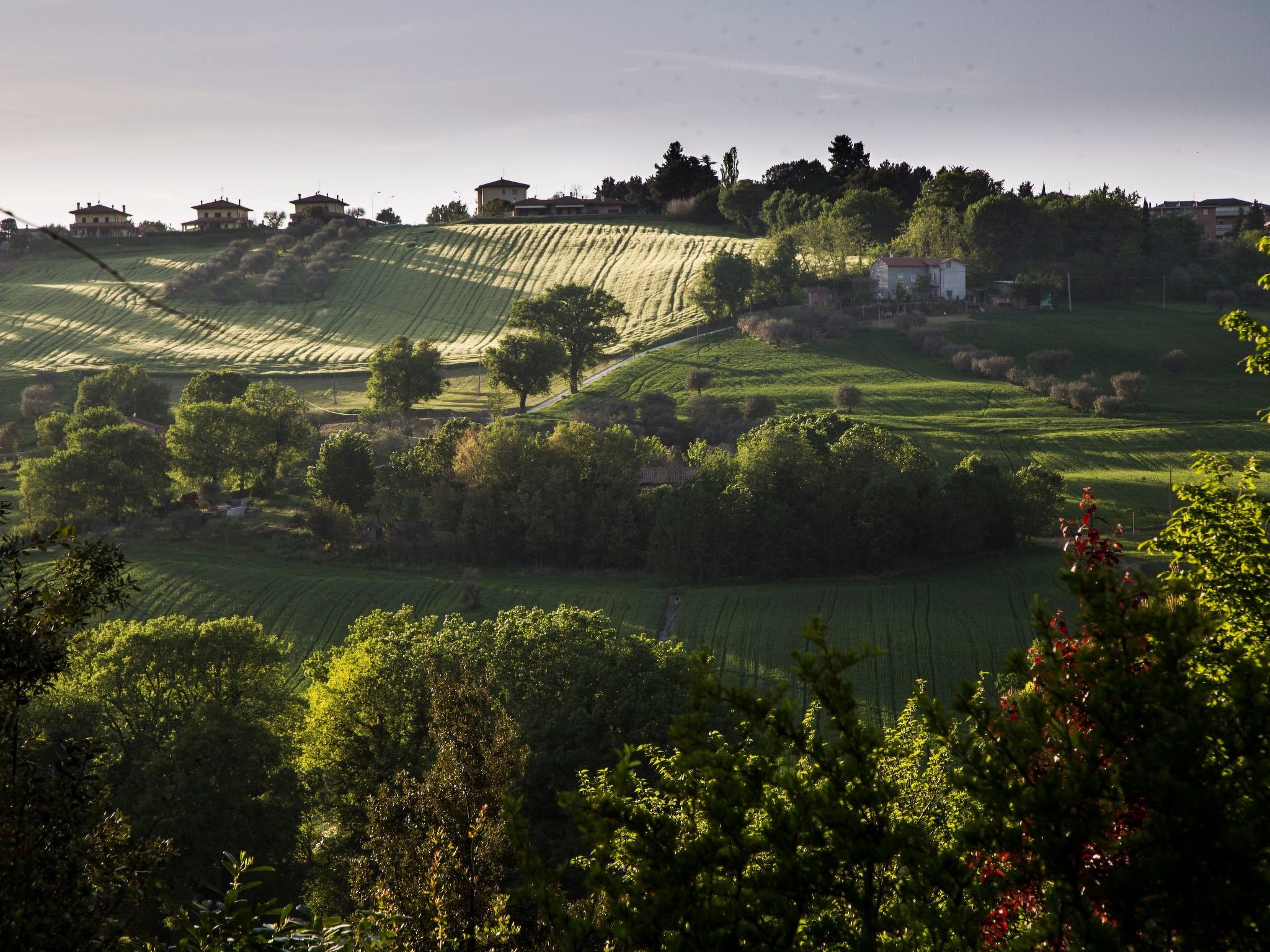 Haus in Ostra mit privatem Pool-Binnen