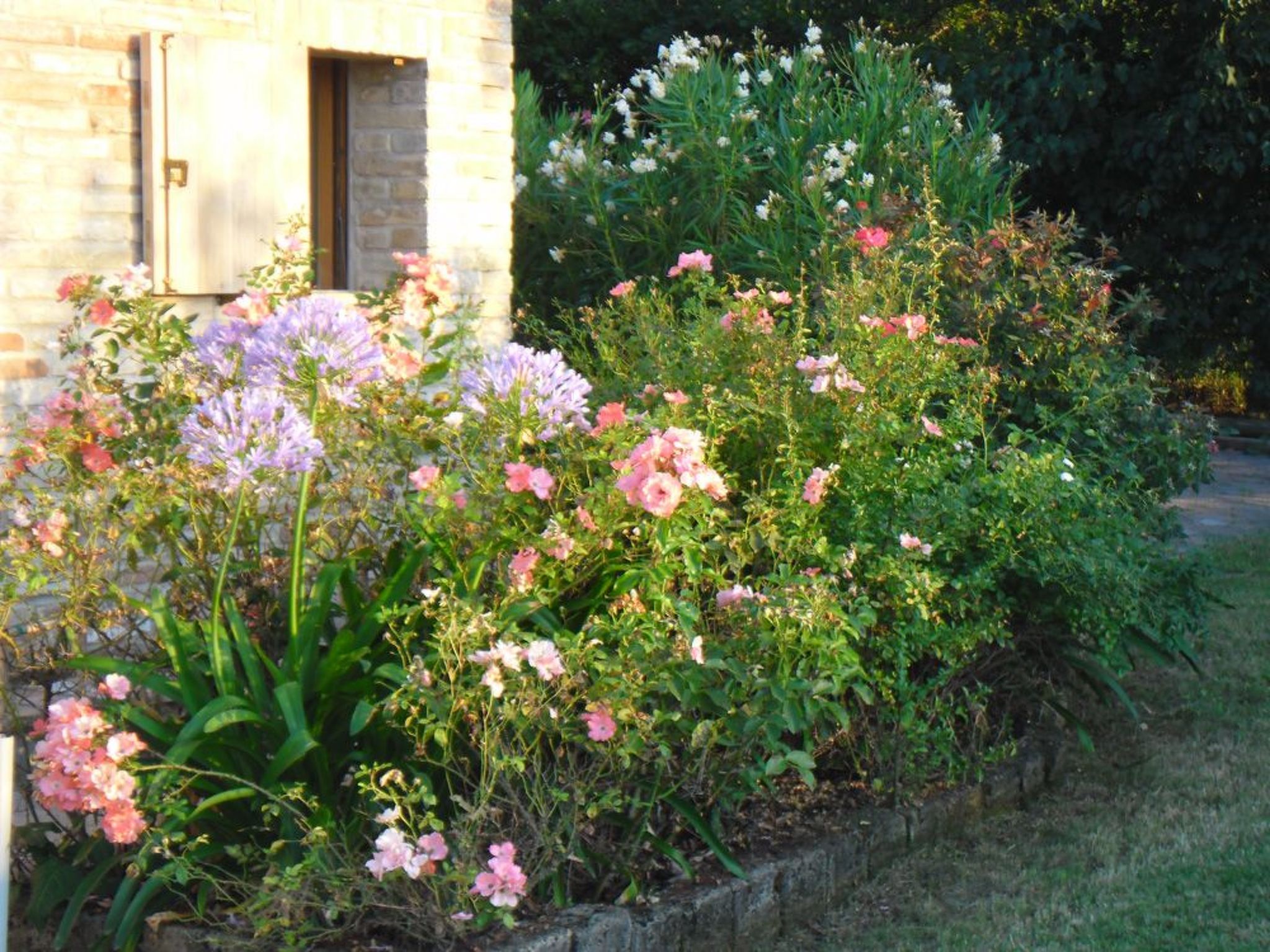 Haus in Ostra mit privatem Pool-Binnen