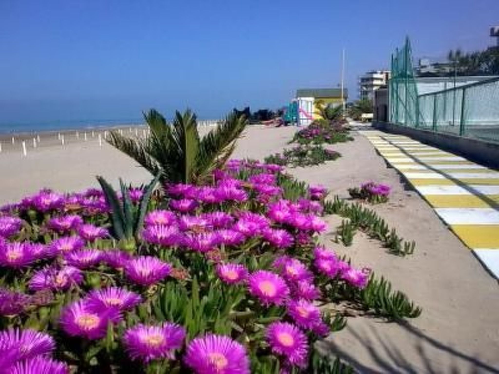 Wohnung 'Mare Blu 3' in Strandnähe-Dedans