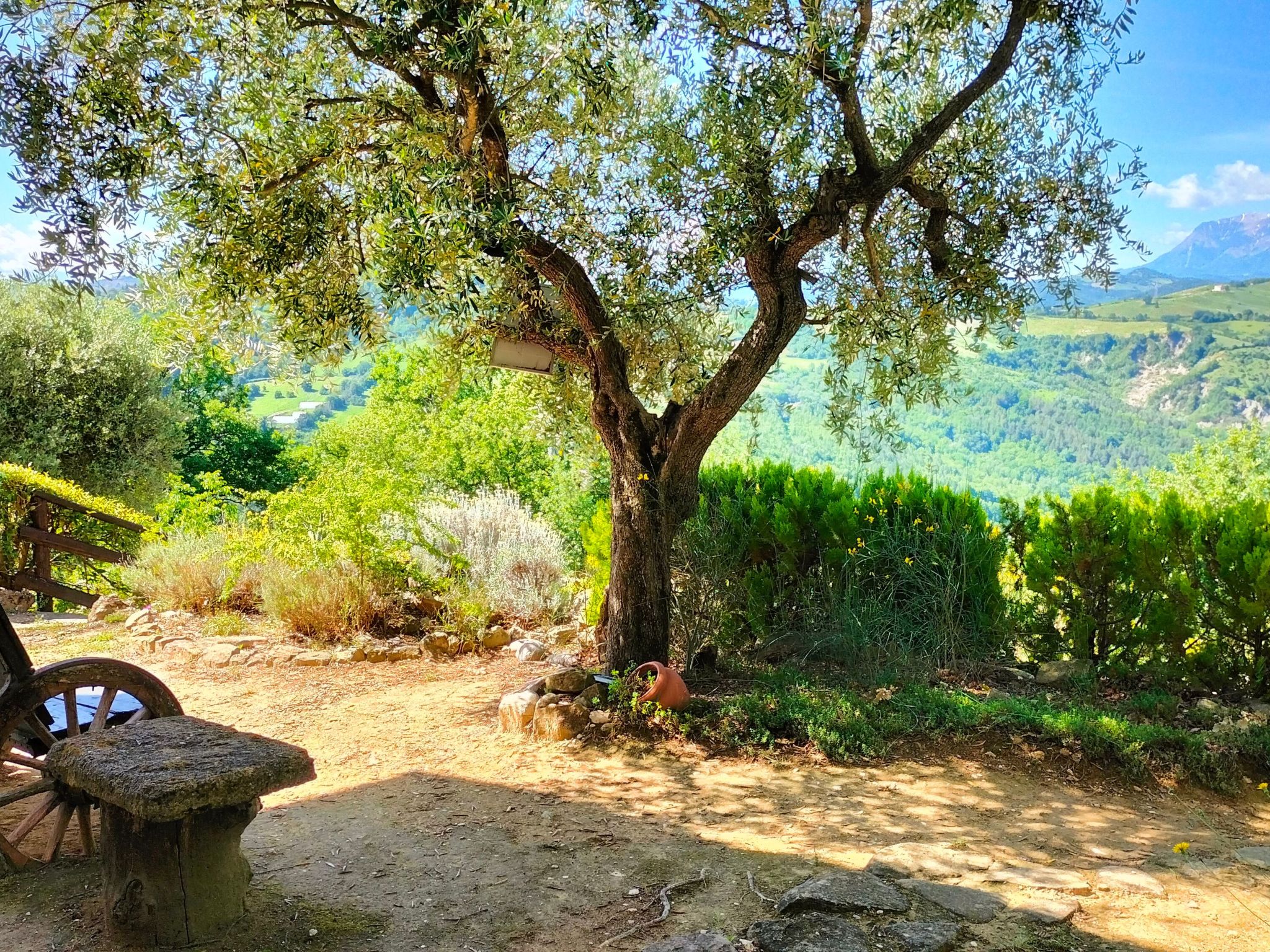 Charmantes Bauernhaus in Penna San Giovanni-Binnen