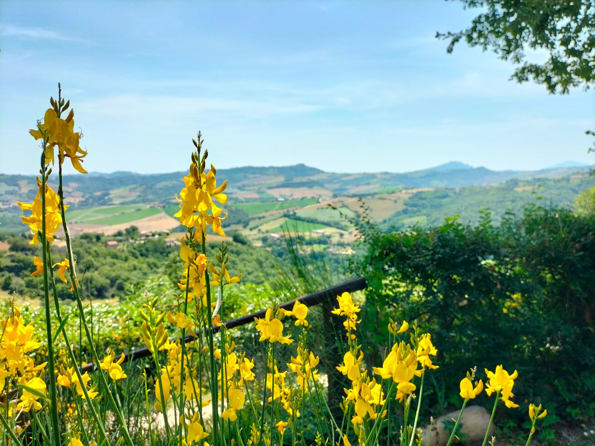 Charmantes Bauernhaus in Penna San Giovanni-Binnen