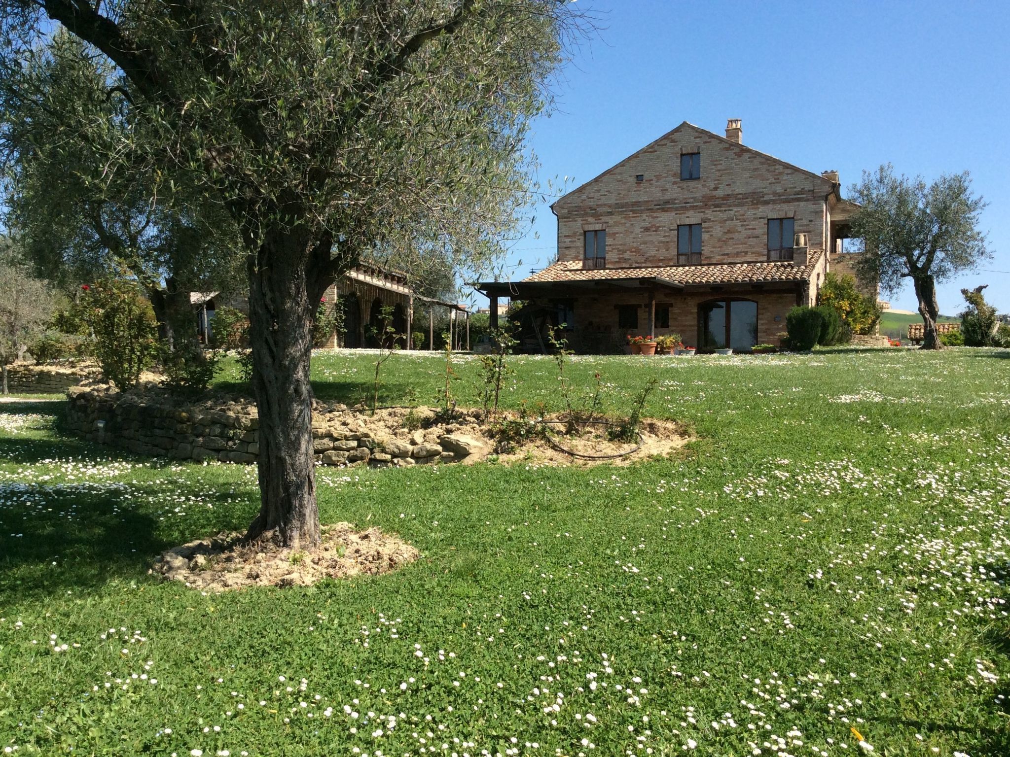 La Villa degli Ulivi - Landhaus mit privatem Pool