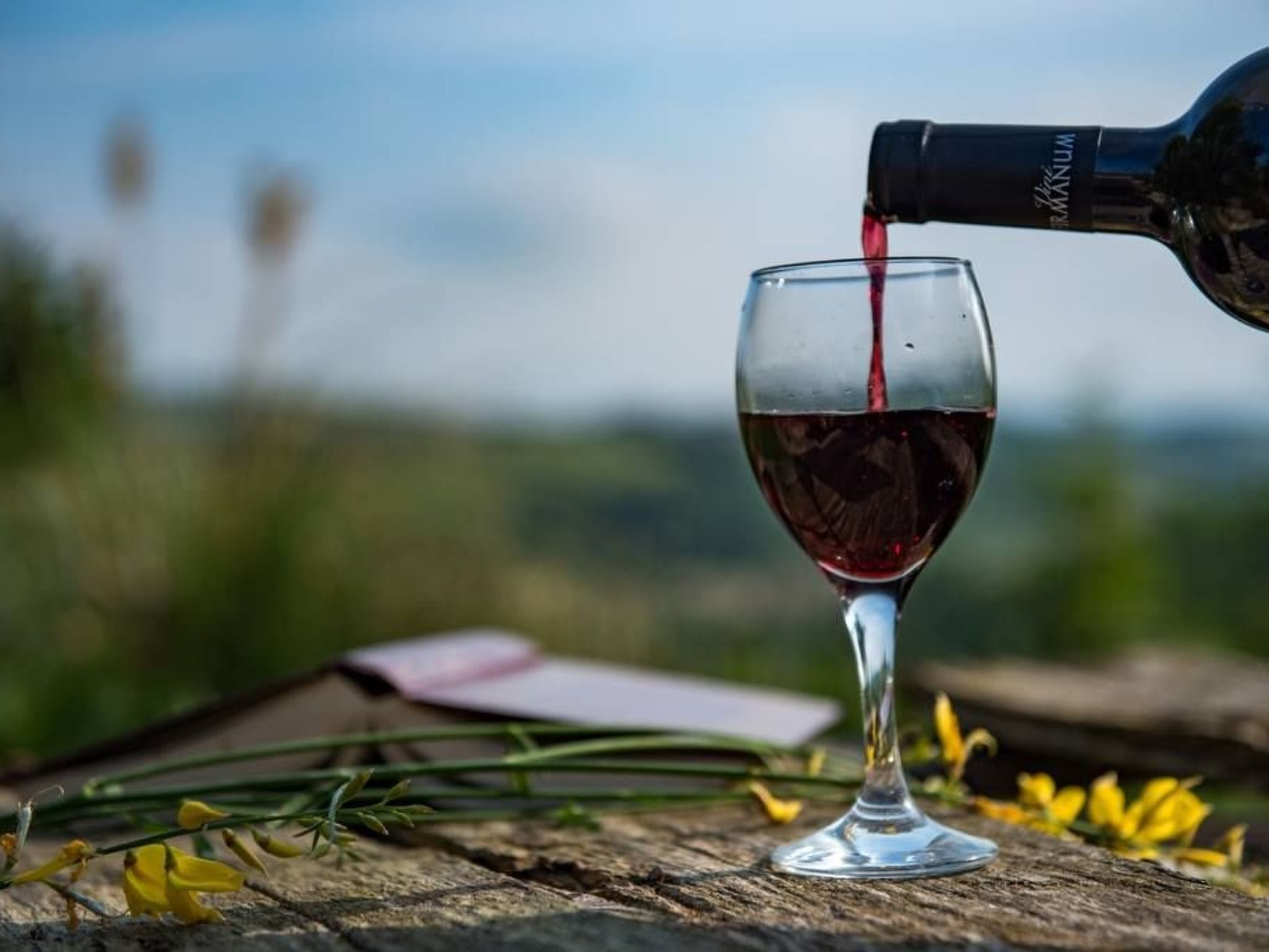 Villa mit Pool für 29 Personen ca. 800 m2-Binnen