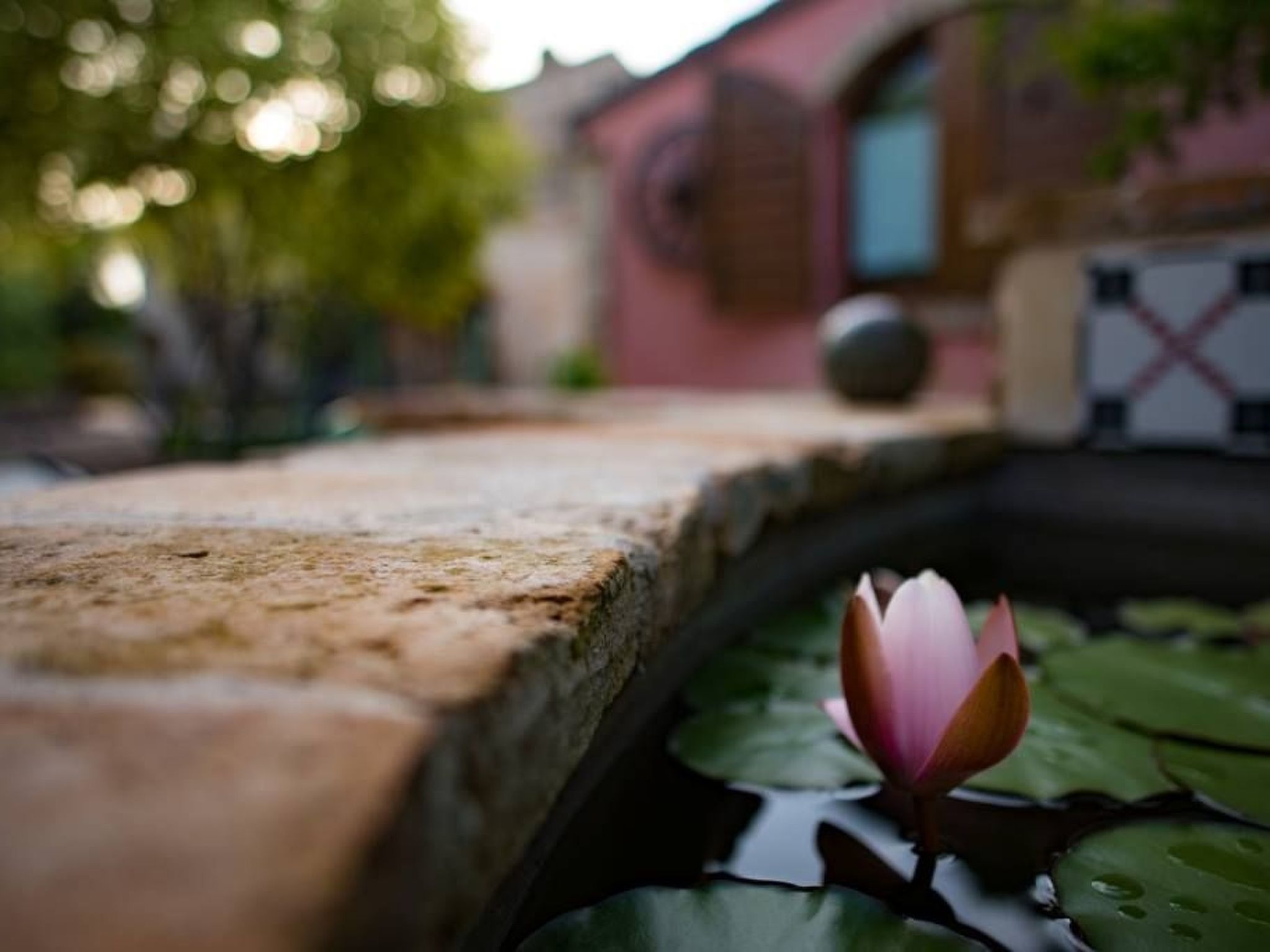 Villa mit Pool für 29 Personen ca. 800 m2-Binnen