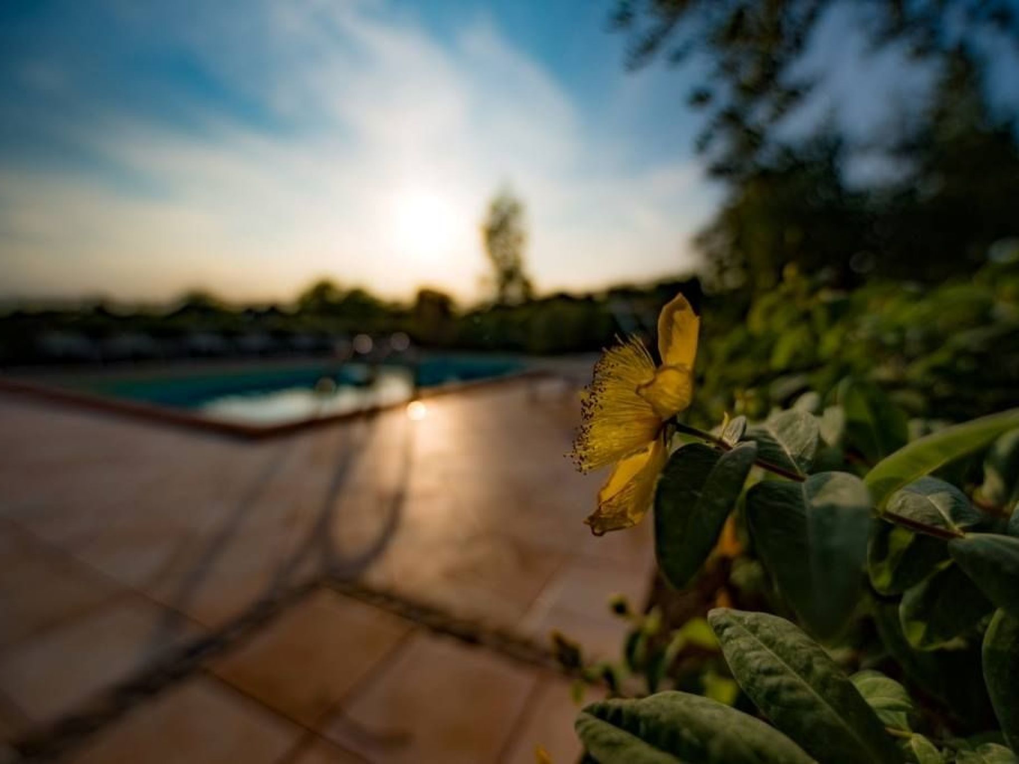 Villa mit Pool für 29 Personen ca. 800 m2-Binnen