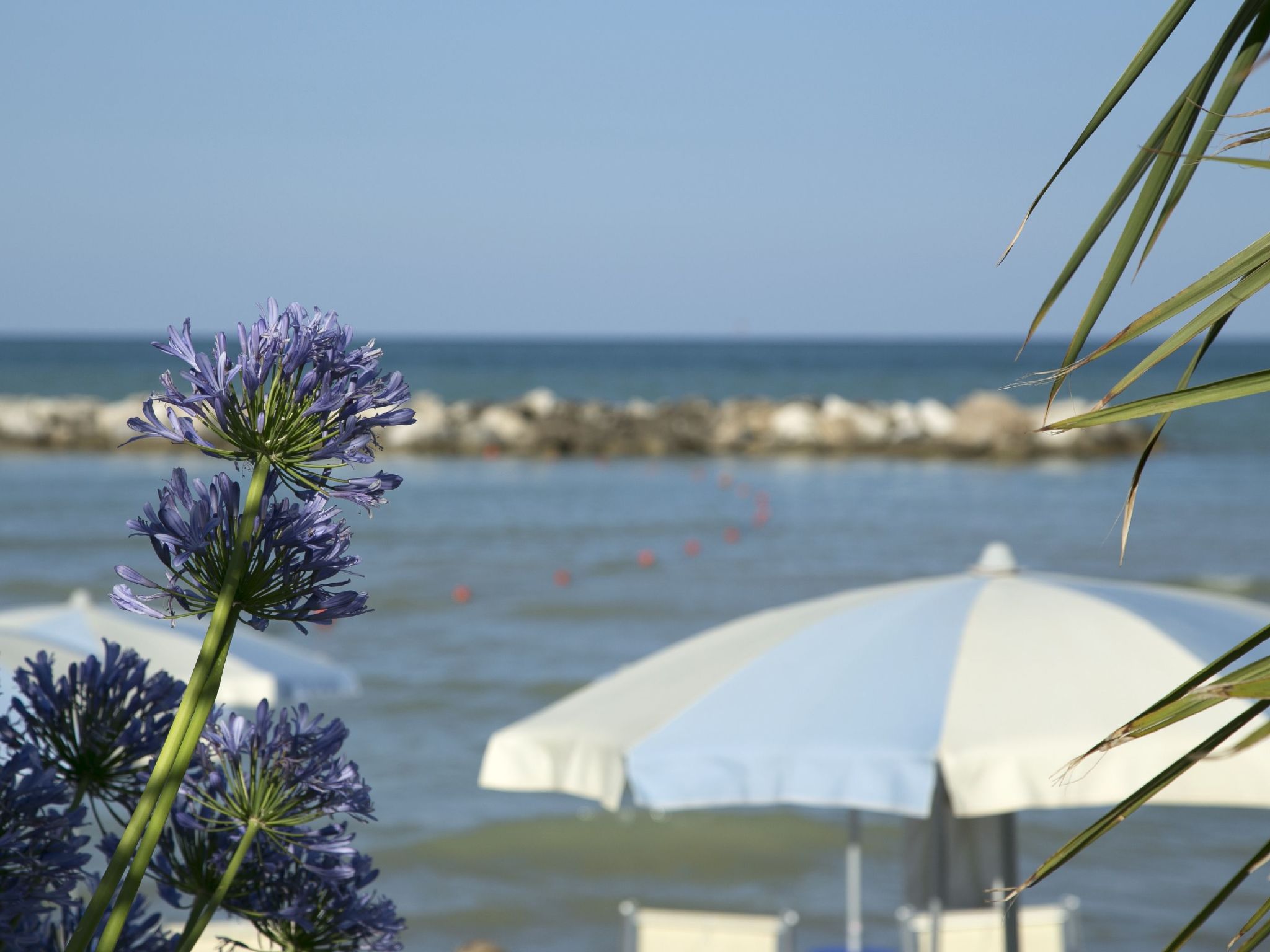 Wohnung in Strandnähe-Image-tags.info