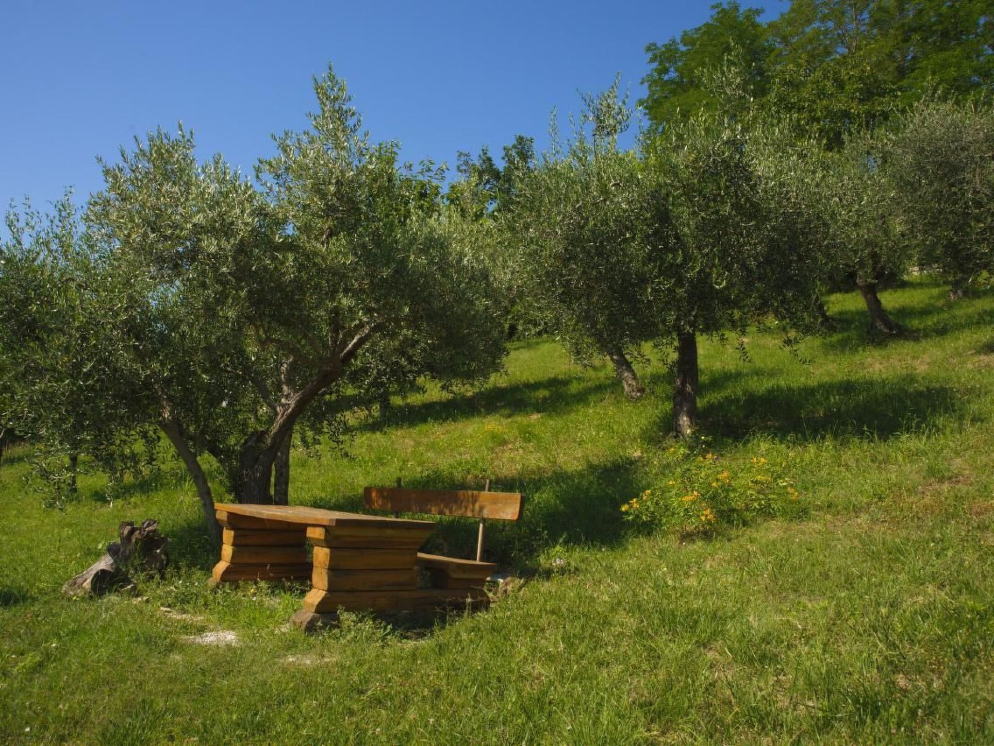 "L'Olivo" — House (5 of 22)