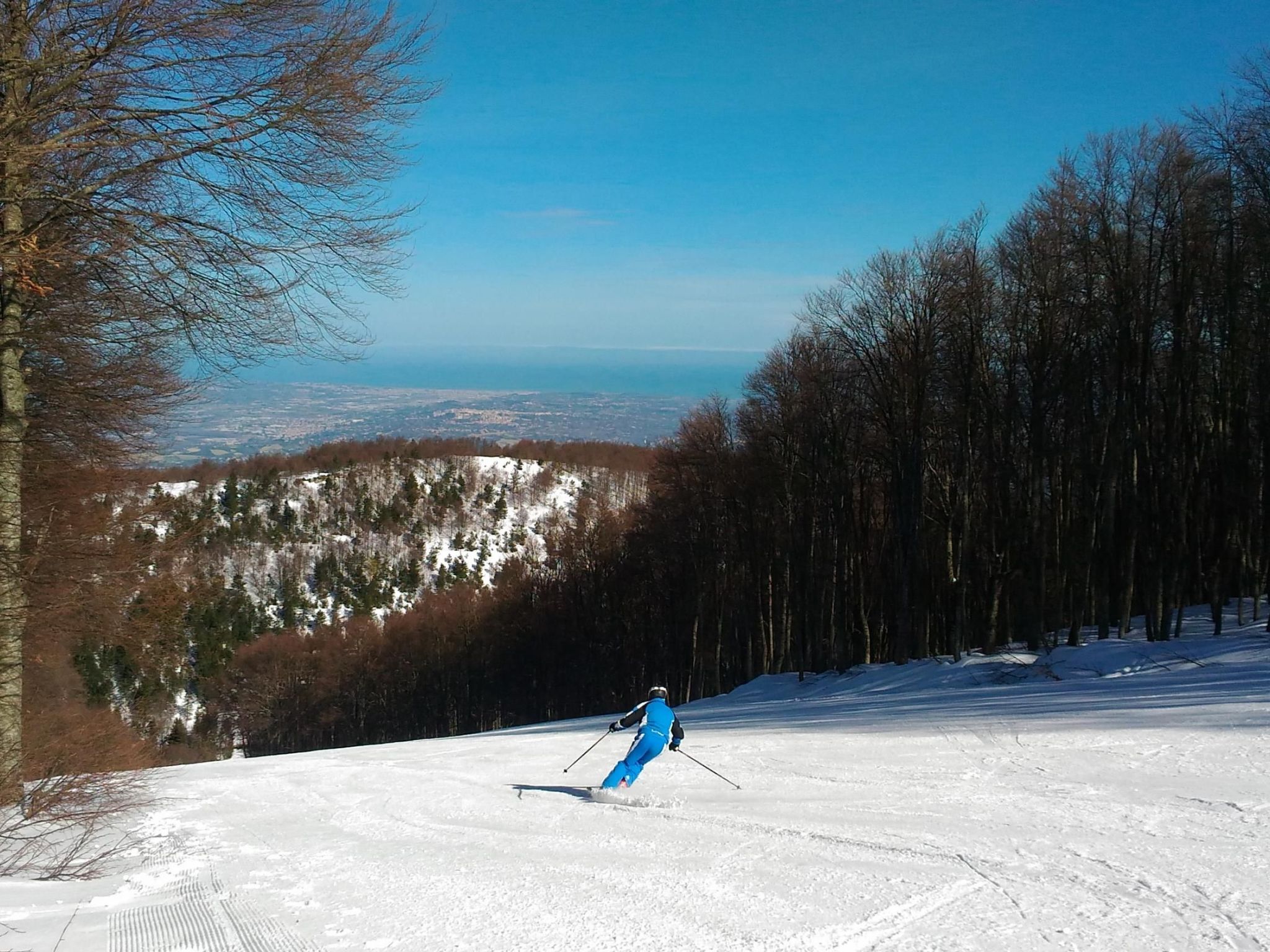Charmante Wohnung mit Privatparkplatz-Binnen