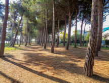 Appartement Cerrano