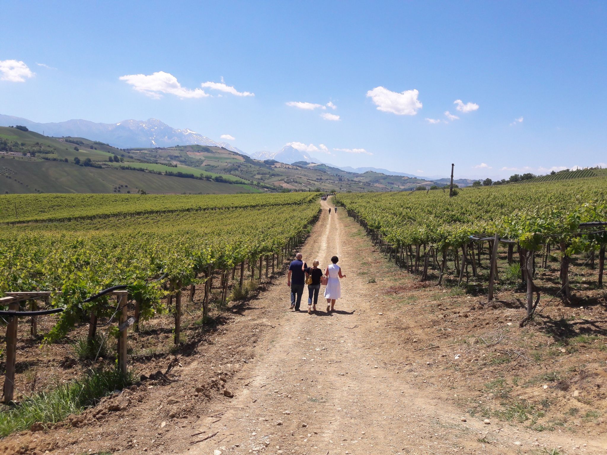 Casa Luna - 6 Personen - in Picciano-Binnen