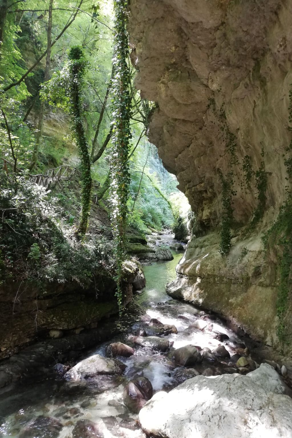 Casa Luna - 6 Personen - in Picciano-Binnen