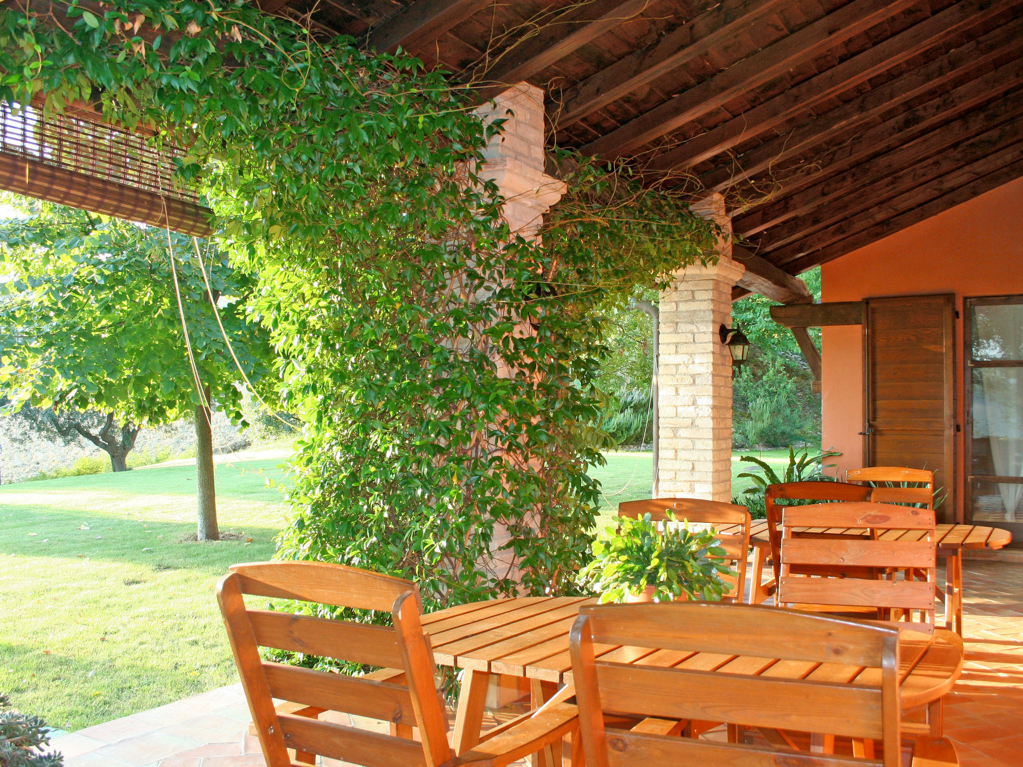 I Due Carpini - Image 5