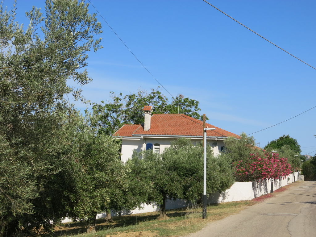 Il giardino degli ulivi