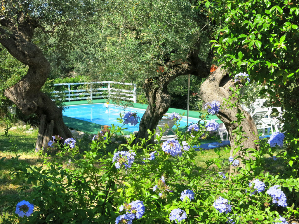 Bild 11