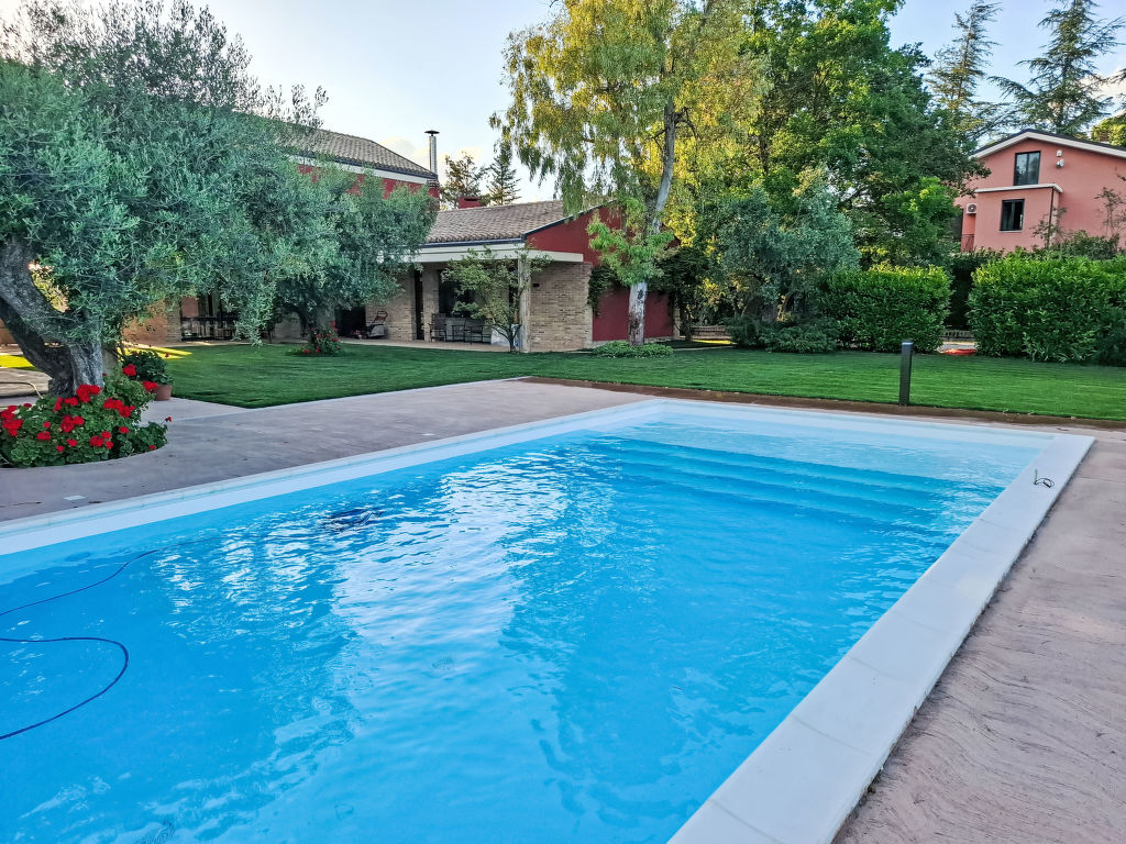 Vidal — Pool Outdoor