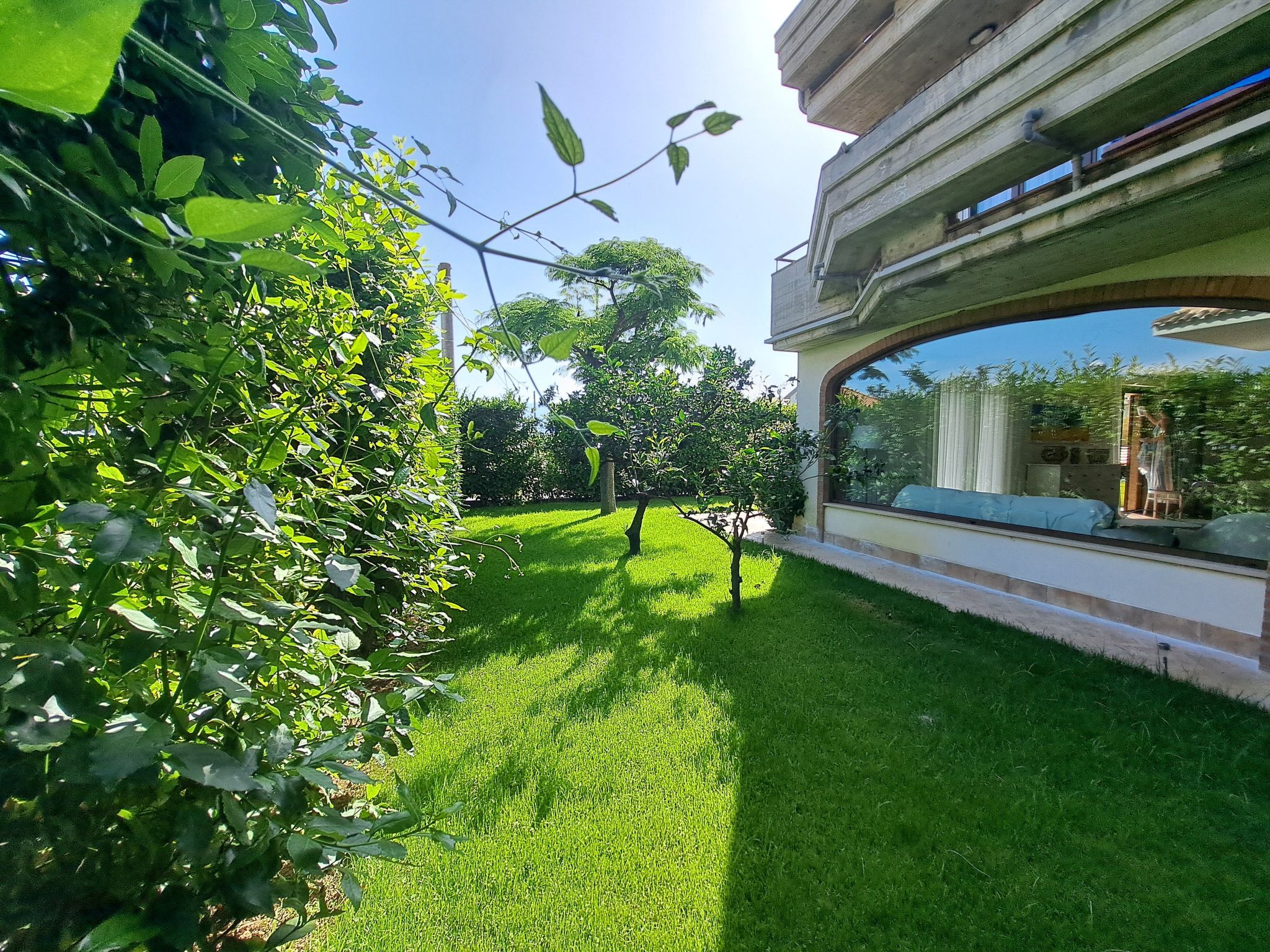 "Daphne Experience".-Binnen