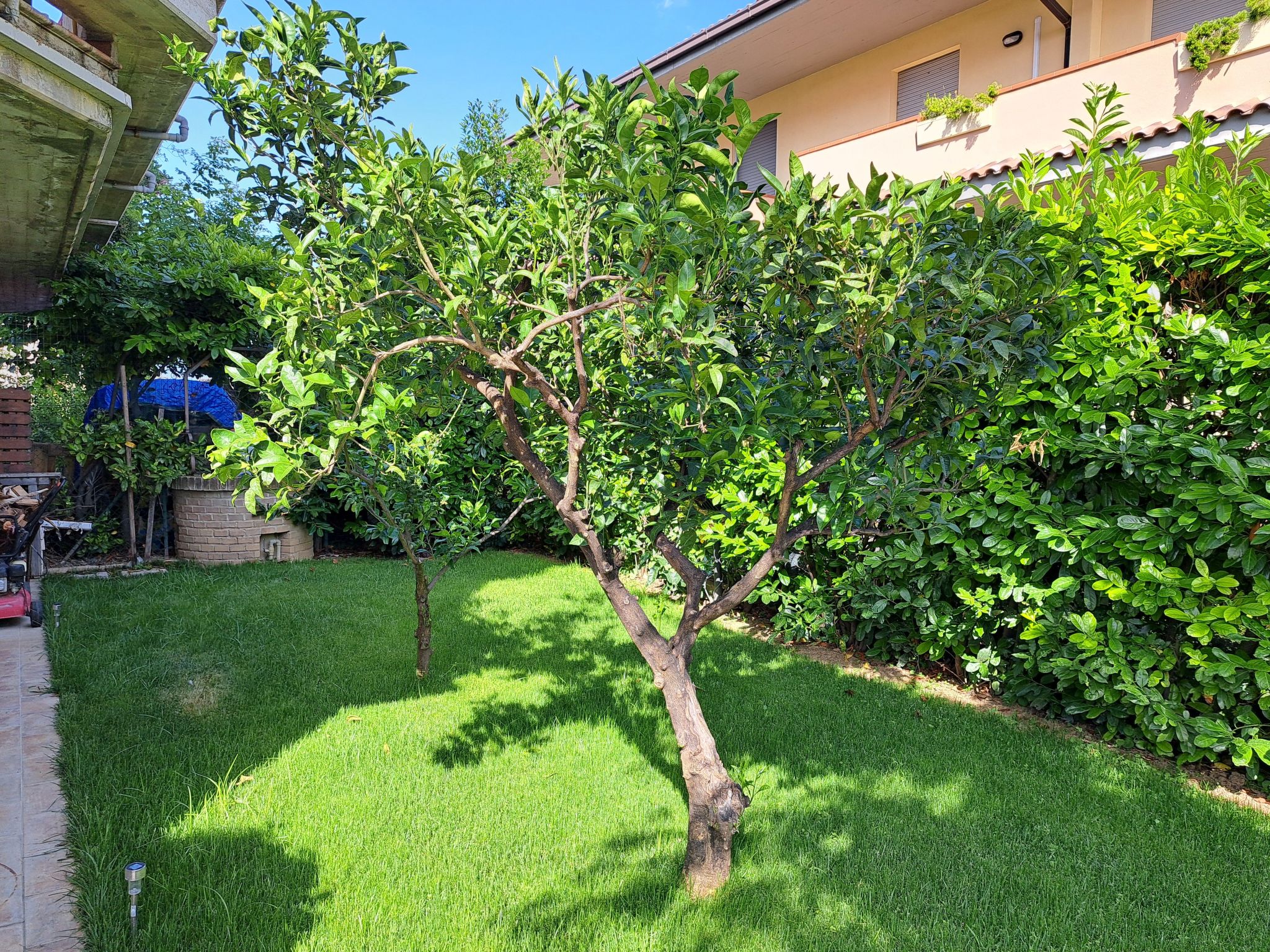 "Daphne Experience".-Binnen