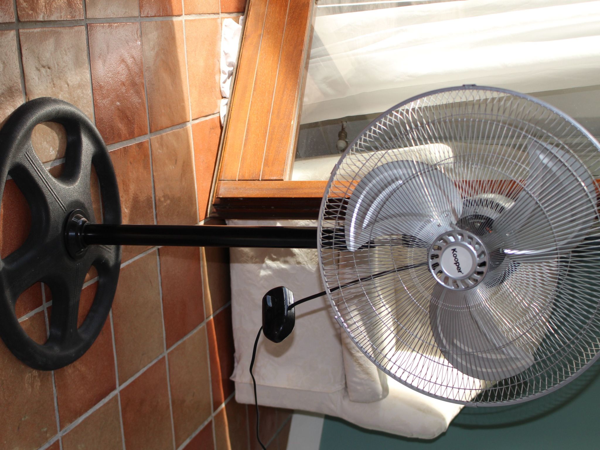 "Daphne Experience".-Binnen