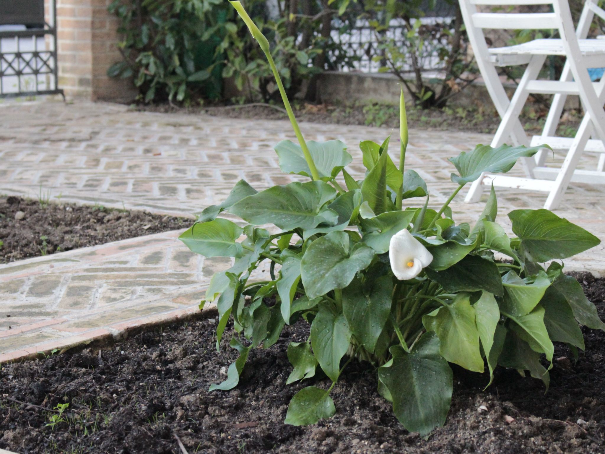 "Daphne Experience".-Binnen