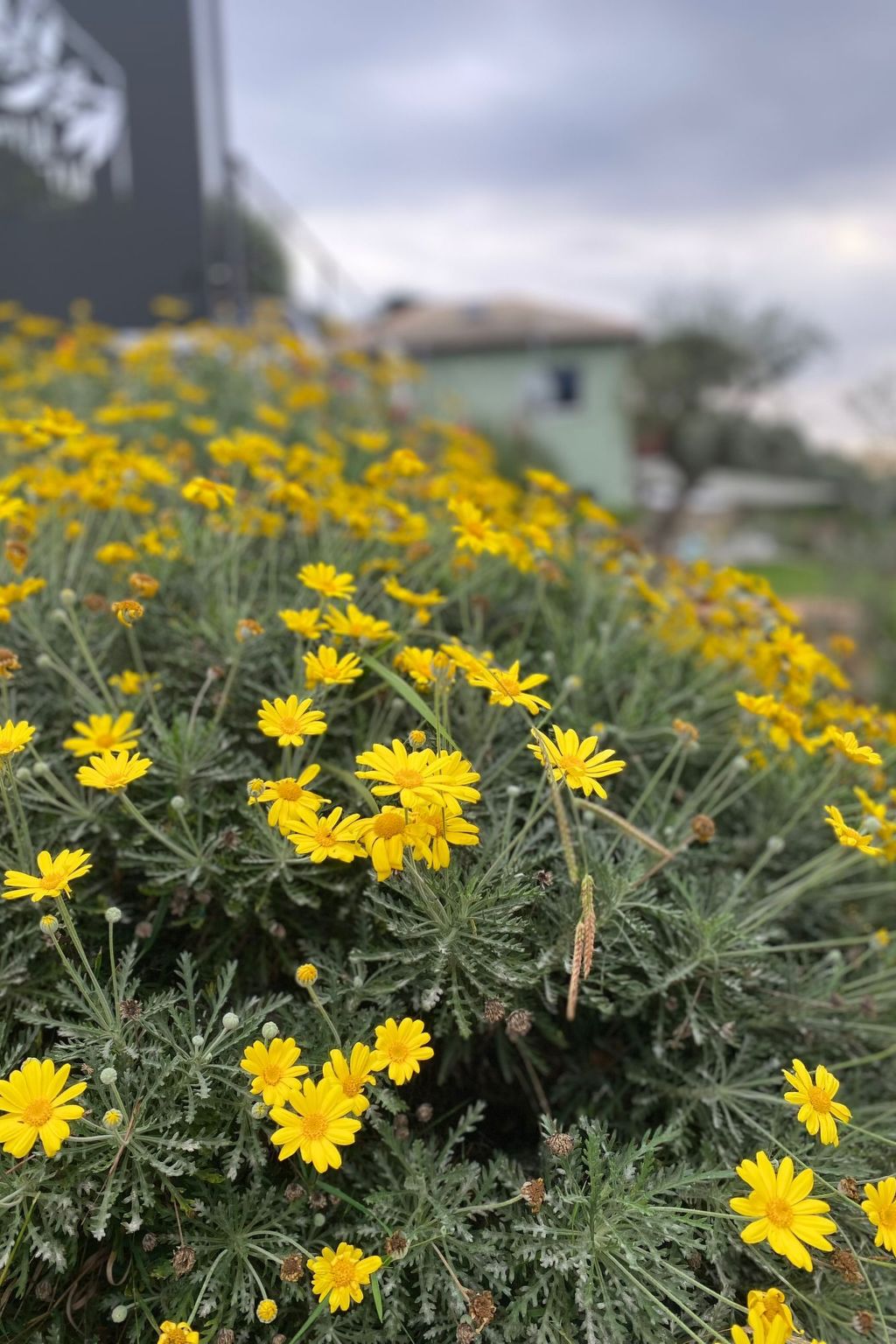 Ein-Zimmer-Wohnung 'Villa Camilla-Dedans