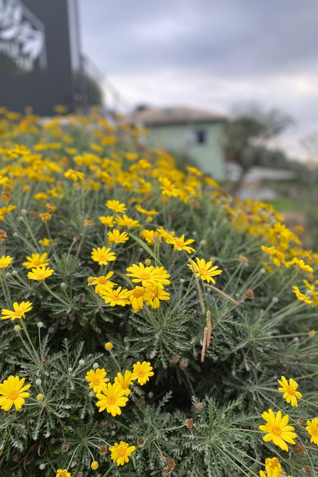 'Villa Camilla 2-Dedans