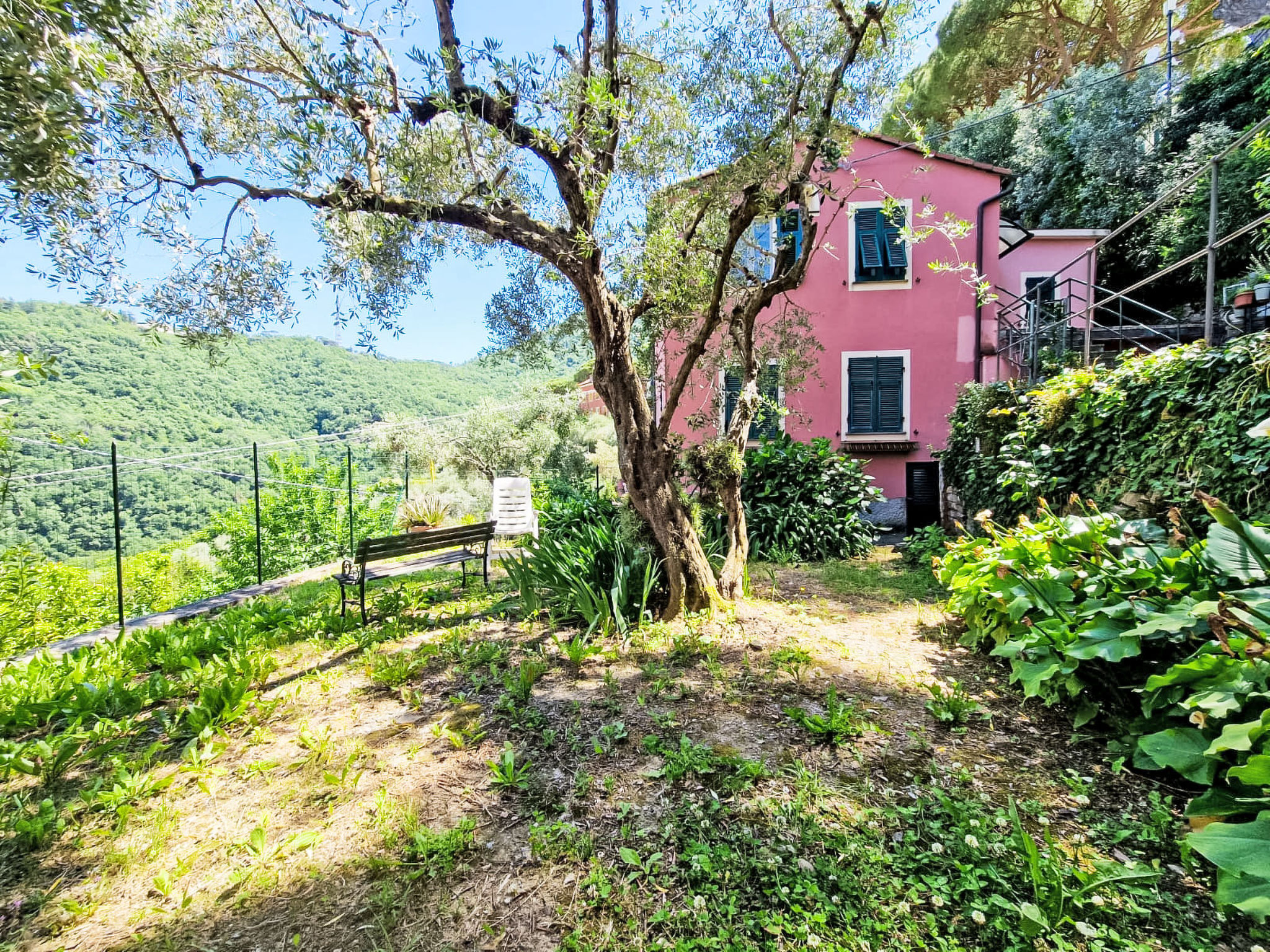 Ein Garten auf Camogli von Holiday World - Buiten