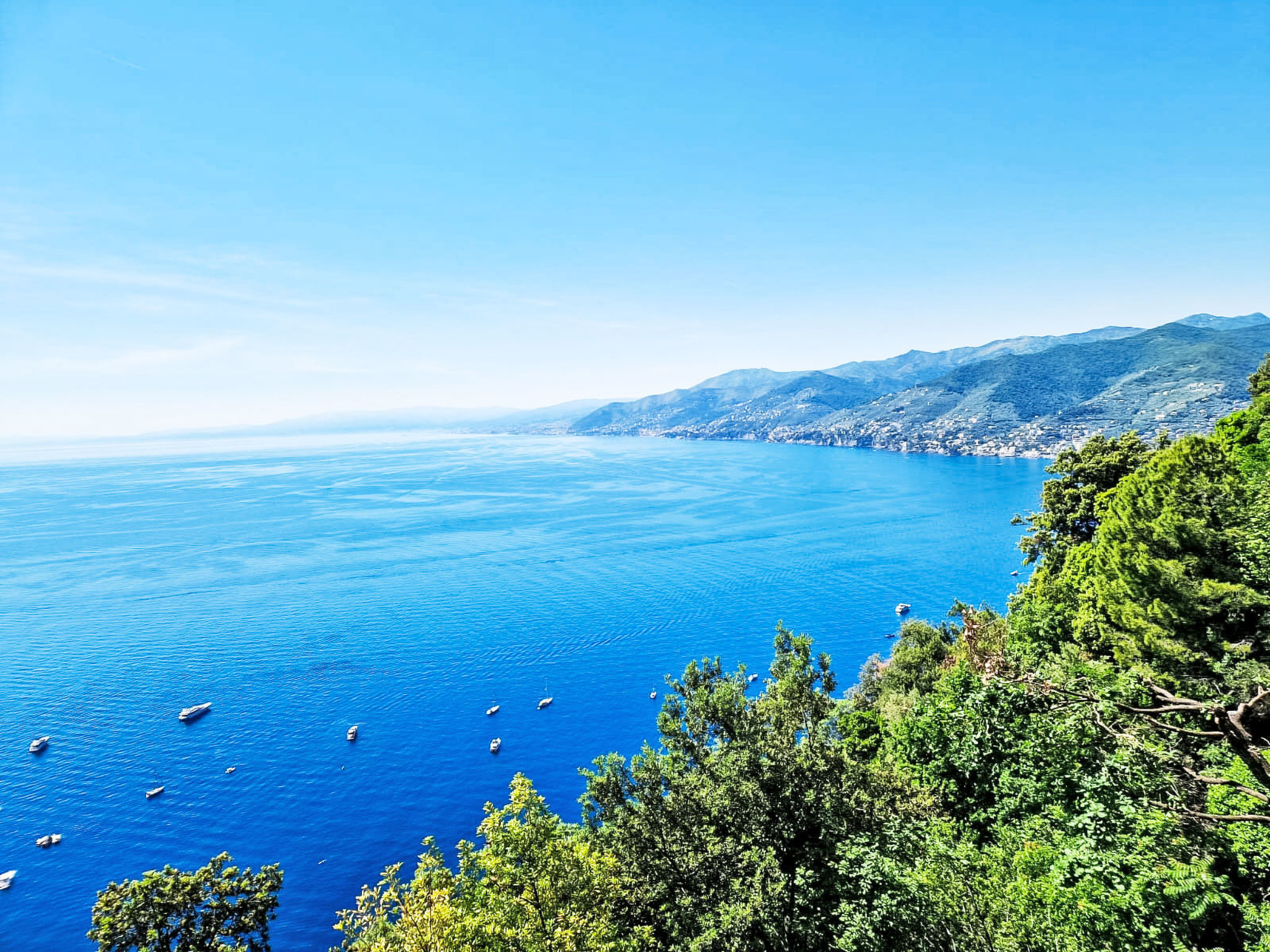 Ein Garten auf Camogli von Holiday World - Buiten