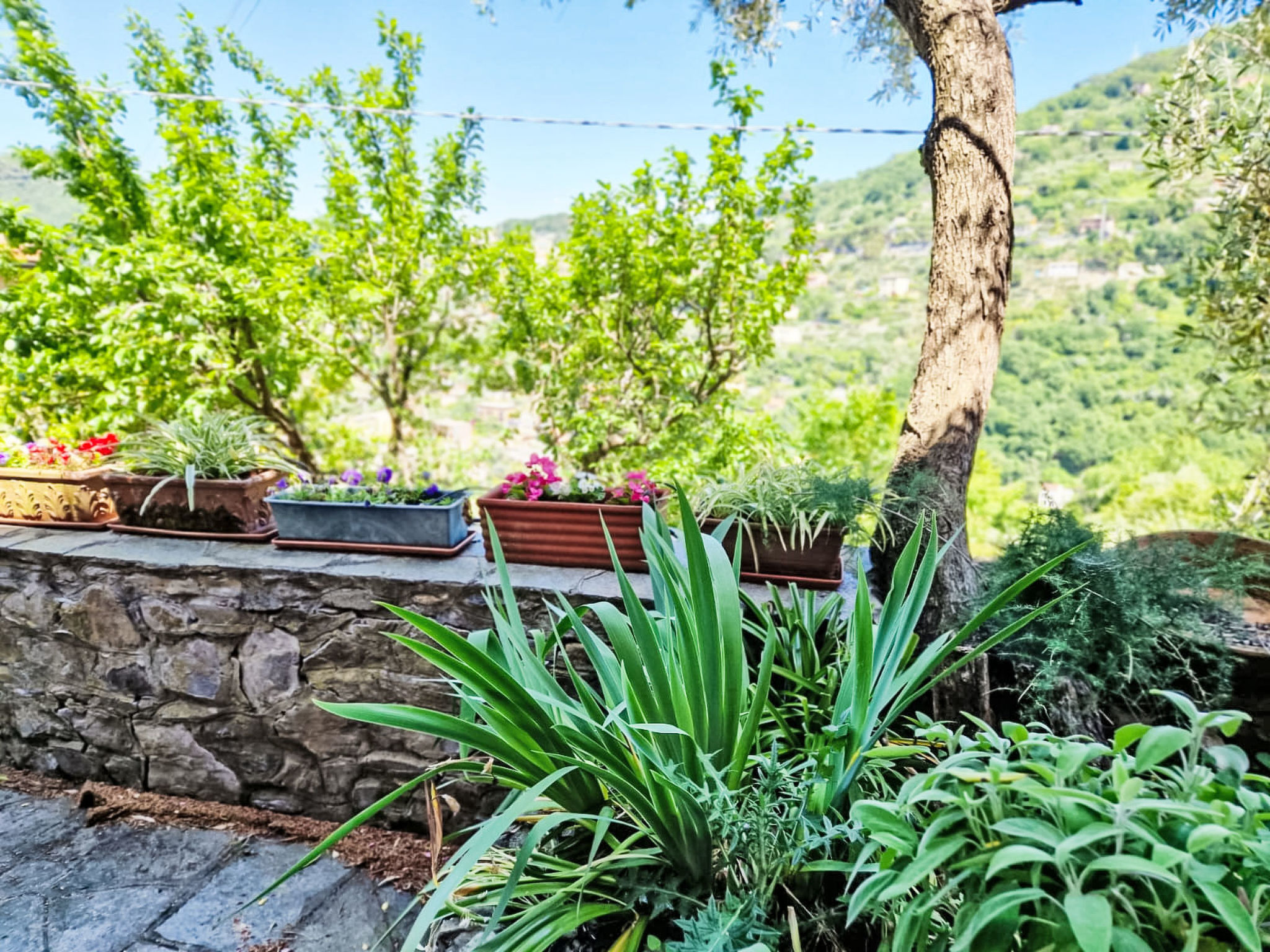 Ein Garten auf Camogli von Holiday World - Buiten