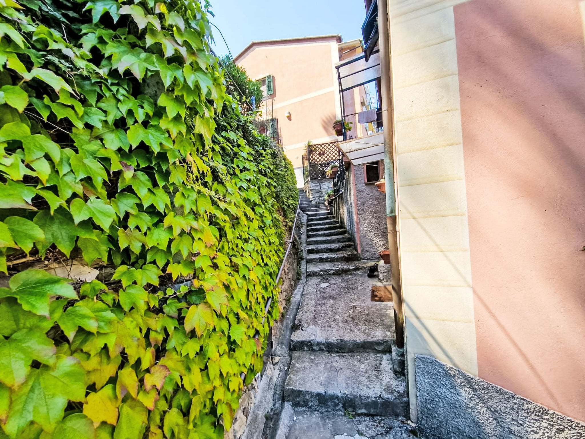 Ein Garten auf Camogli von Holiday World - Buiten