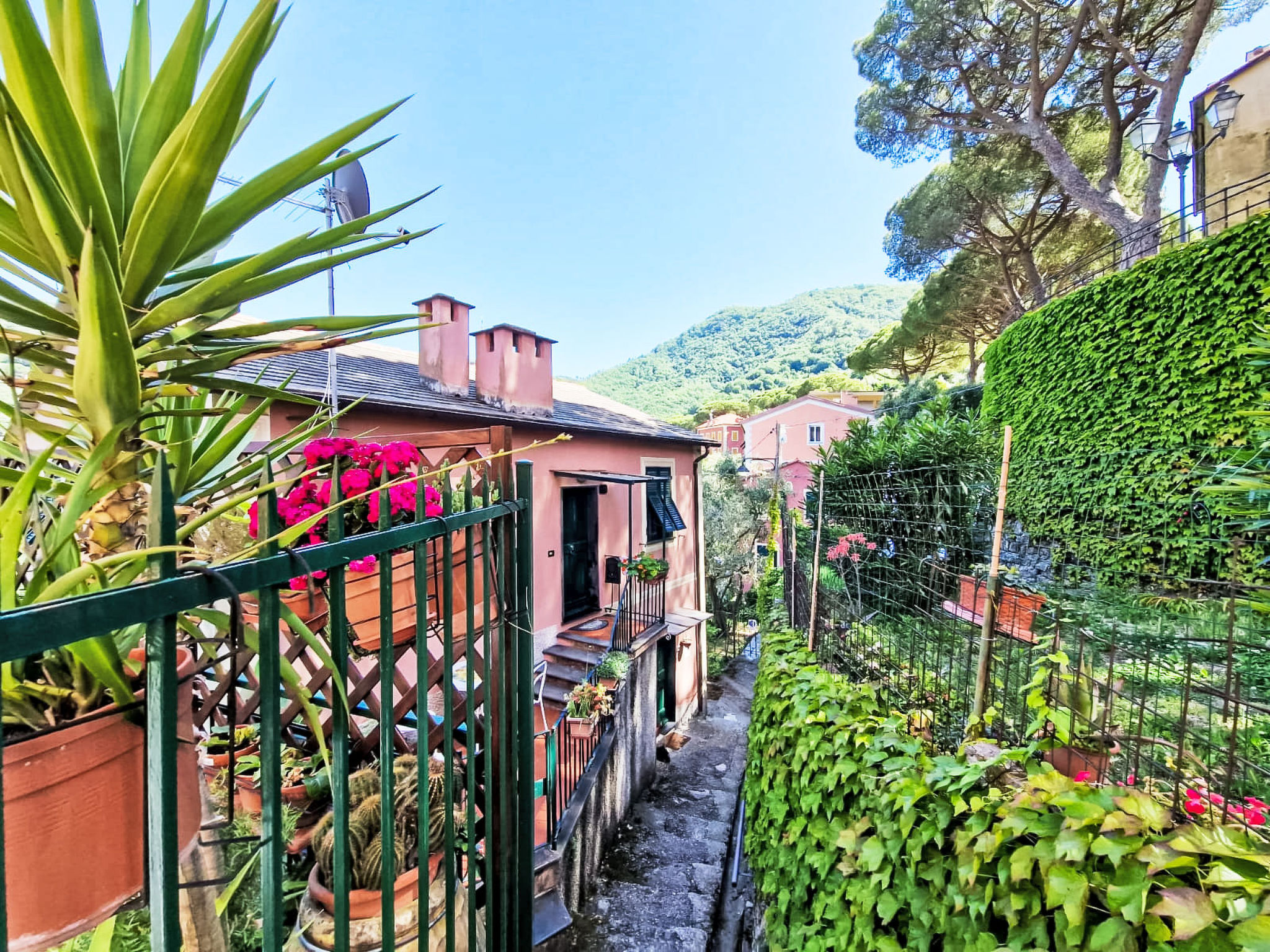 Ein Garten auf Camogli von Holiday World - Buiten
