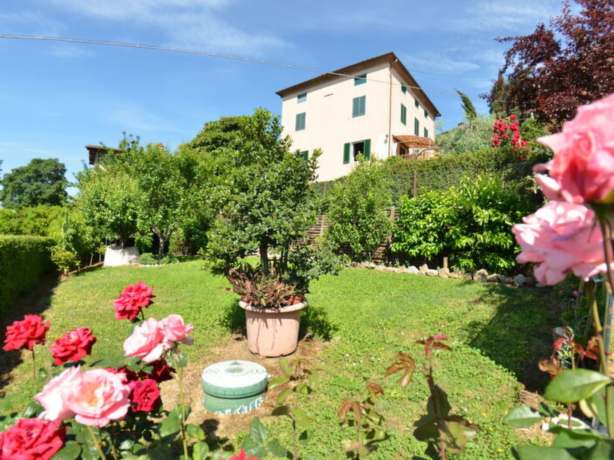 Alla Collina Del Sole