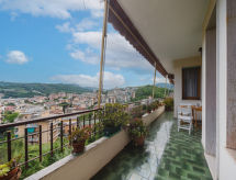 Caprifoglio