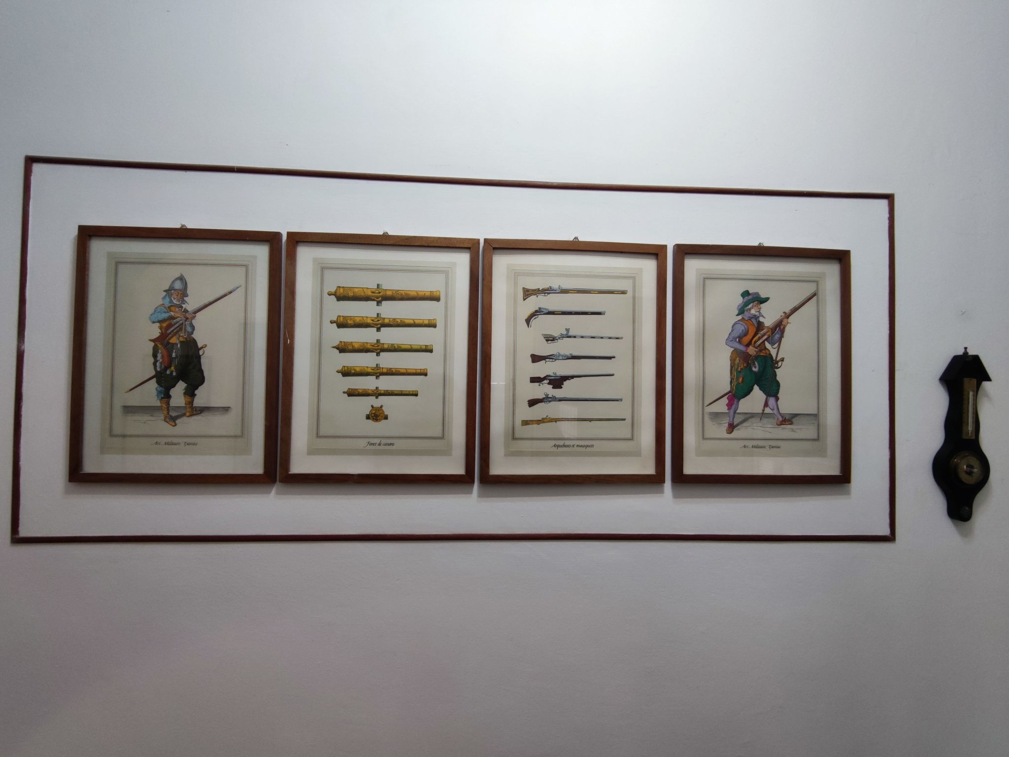 La Mimose-Image-tags.info